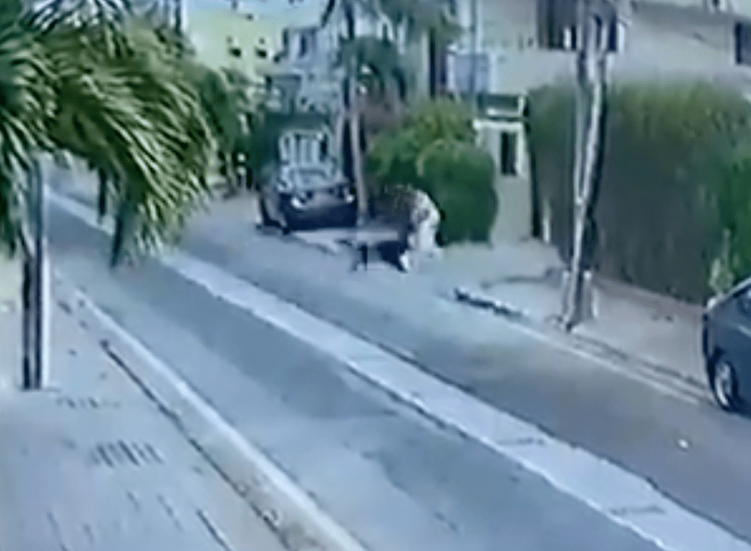Dogs attack a man who is walking through his neighbourhood | Photo: Twitter/ComicsByMajid