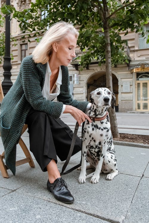 Tim saw the woman untangling the leash and stole her purse | Source: Pexels