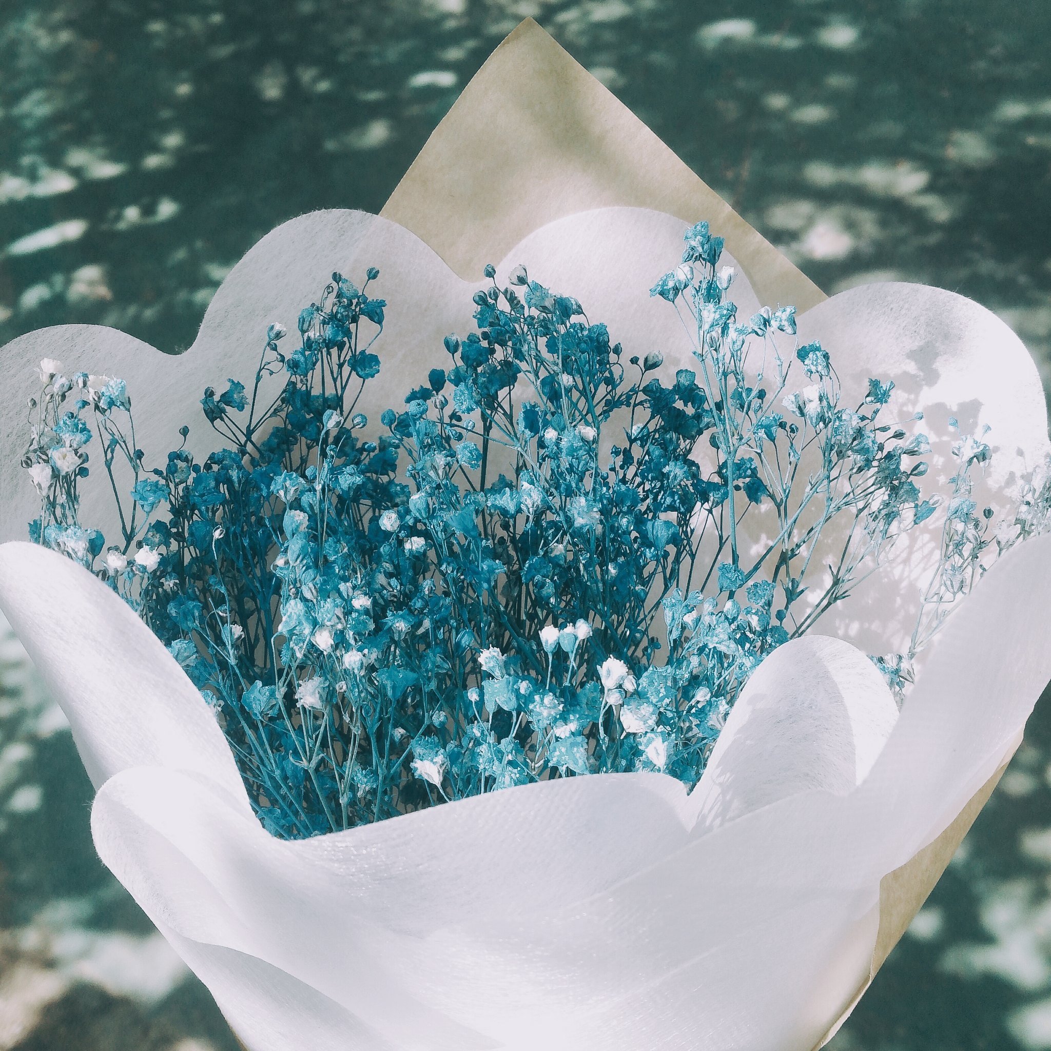To test Paul, Rose ordered a bouquet of flowers for herself, presumably from another man, and had it delivered to their home. | Photo: Unsplash