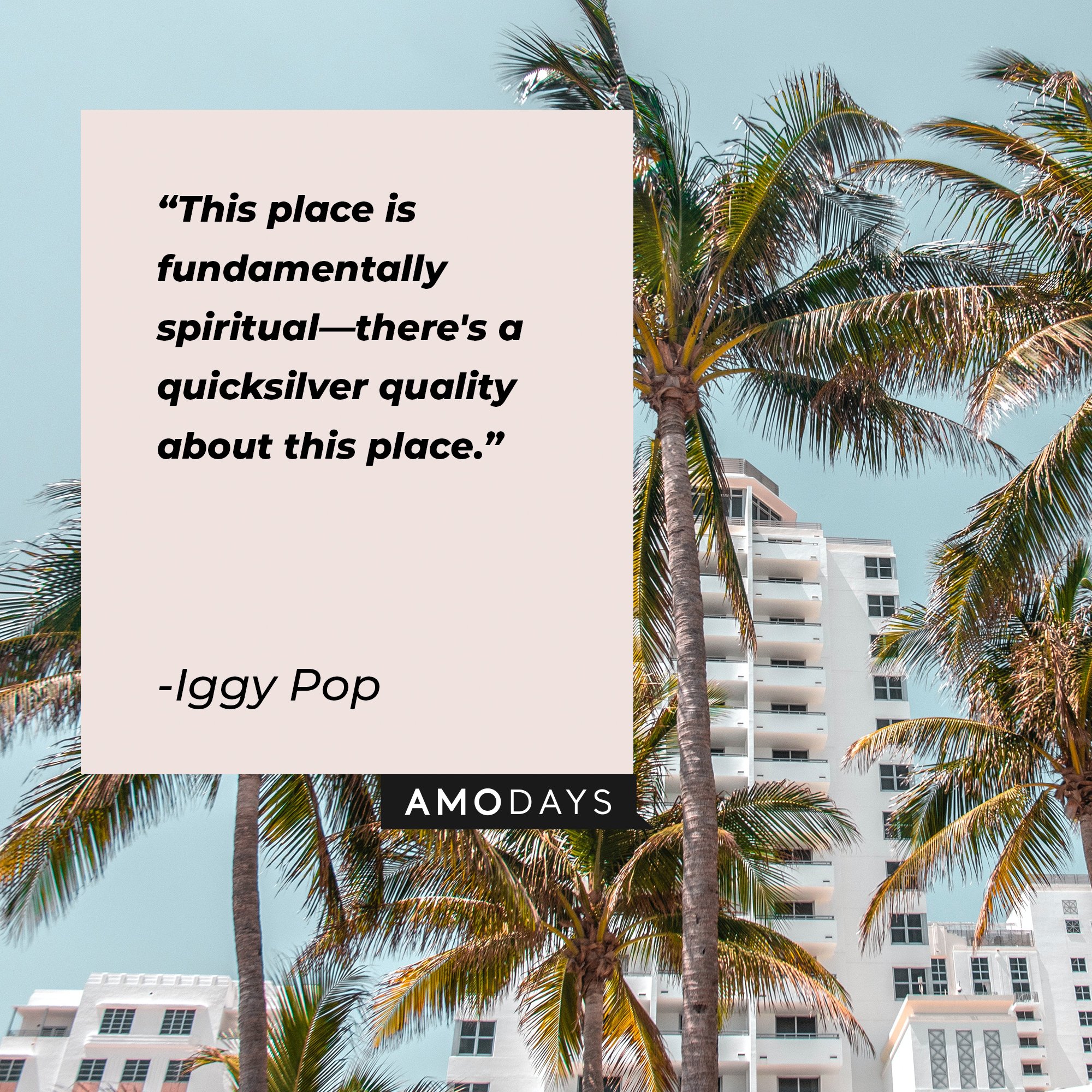 Iggy Pop’s quote: "This place is fundamentally spiritual—there's a quicksilver quality about this place." | Image: AmoDays