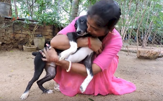 Source:  Youtube/Animal Aid Unlimited, India