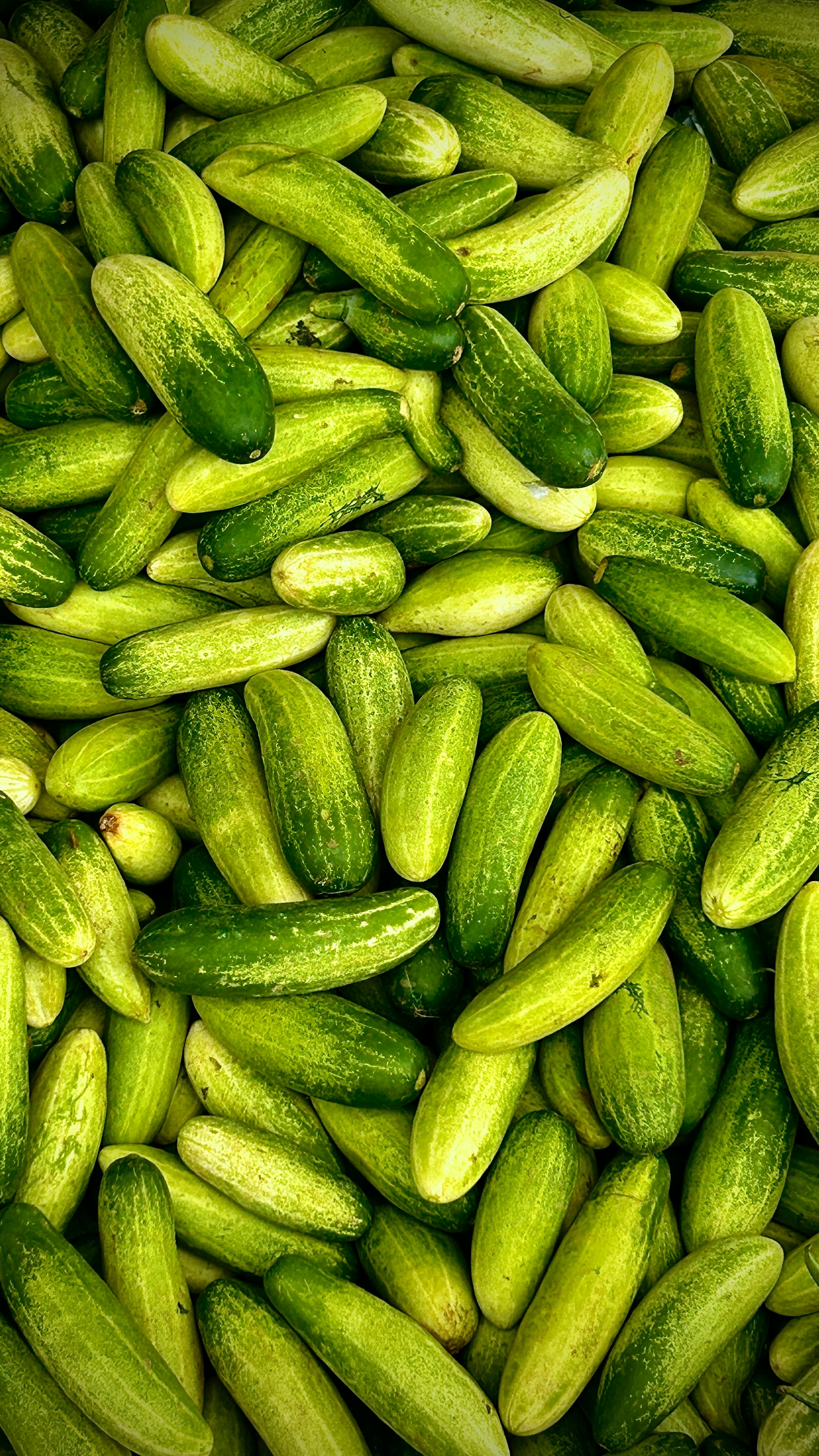 Cucumbers | Source: Pexels