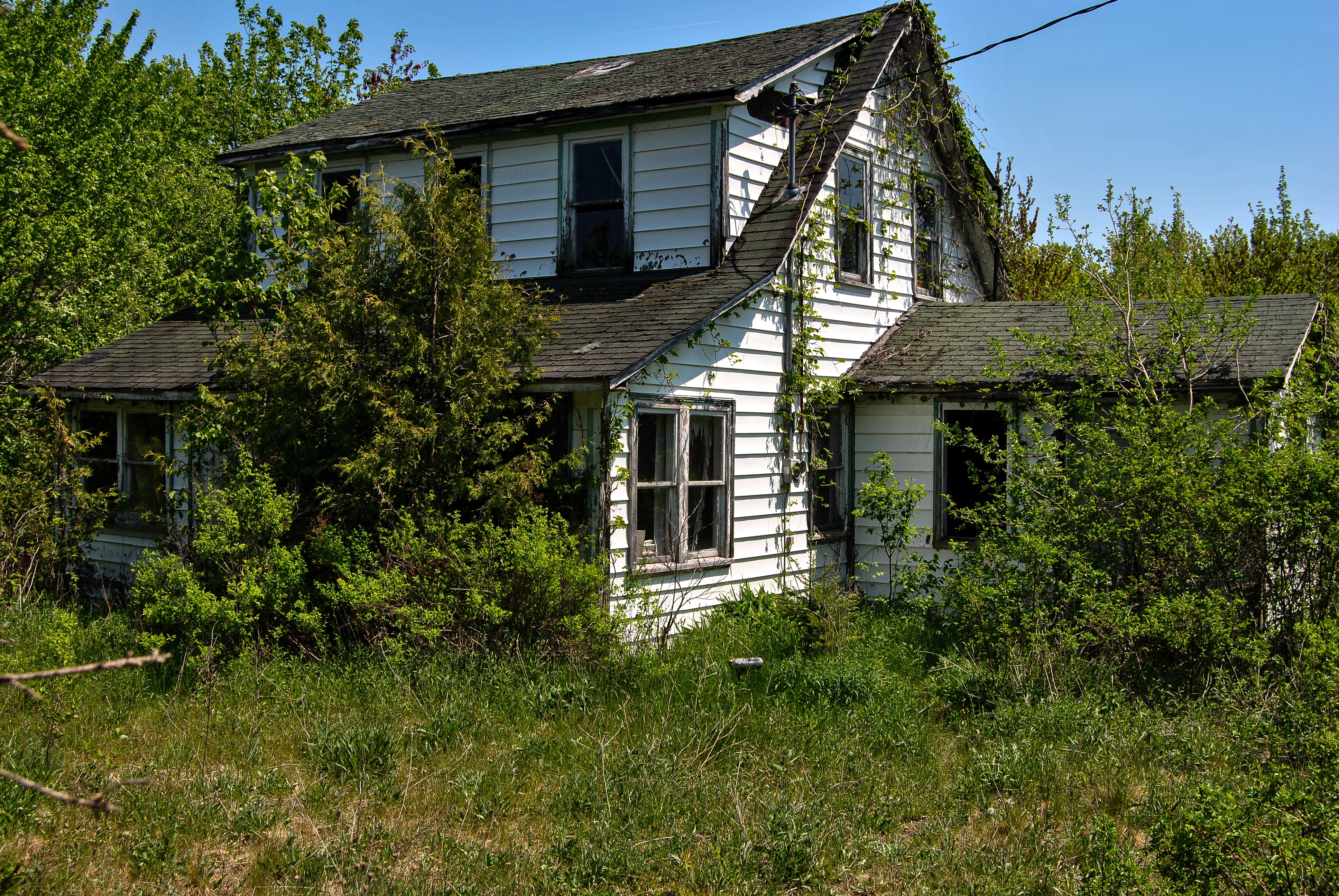 An Over Grown Abandoned House | Source: Shutterstock