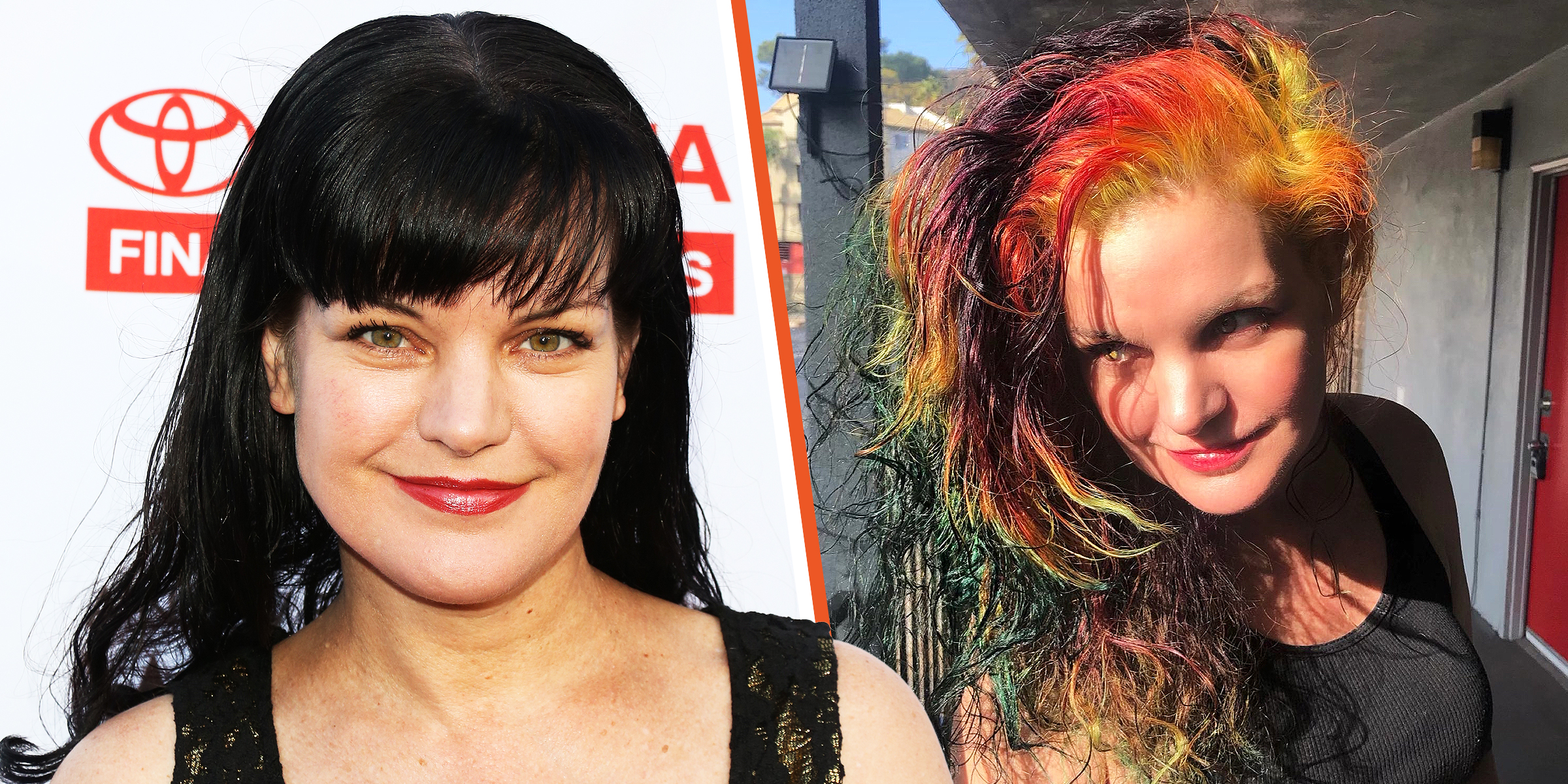 Pauley Perrette, 2016 | Pauley Perrette | Source: Getty Images | Twitter.com/PauleyP