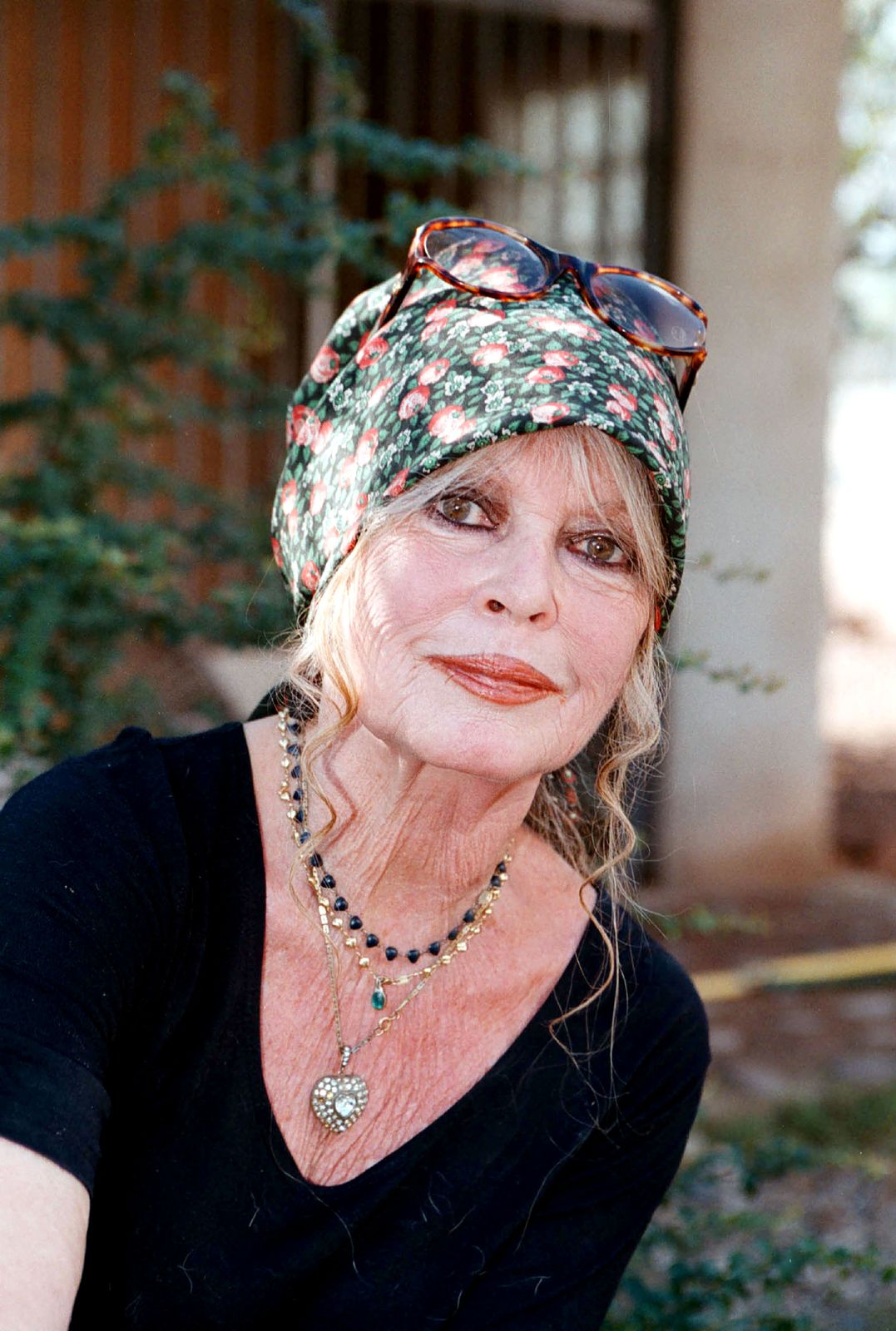 Brigitte Bardot visite son refuge pour chiens "Les gentils chiens" de Carnoules le 7 octobre 2001 à Paris, France. | Photo : Getty Images