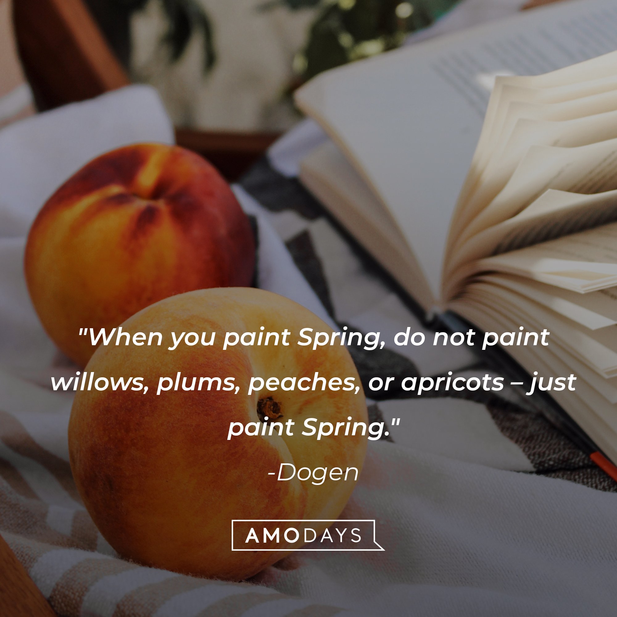 Dogen's quote: "When you paint Spring, do not paint willows, plums, peaches, or apricots – just paint Spring." | Image: AmoDays