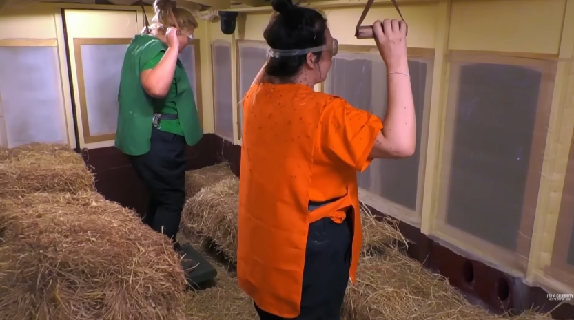 Gemma Collins and Scarlett Moffatt brace themselves as they grip overhead straps during the opening stage of the Bushtucker Trial, attempting to maintain balance while insects crawl over them, in a video dated 15 April 2026. | Source: YouTube/ I'm A Celebrity... Get Me Out Of Here!