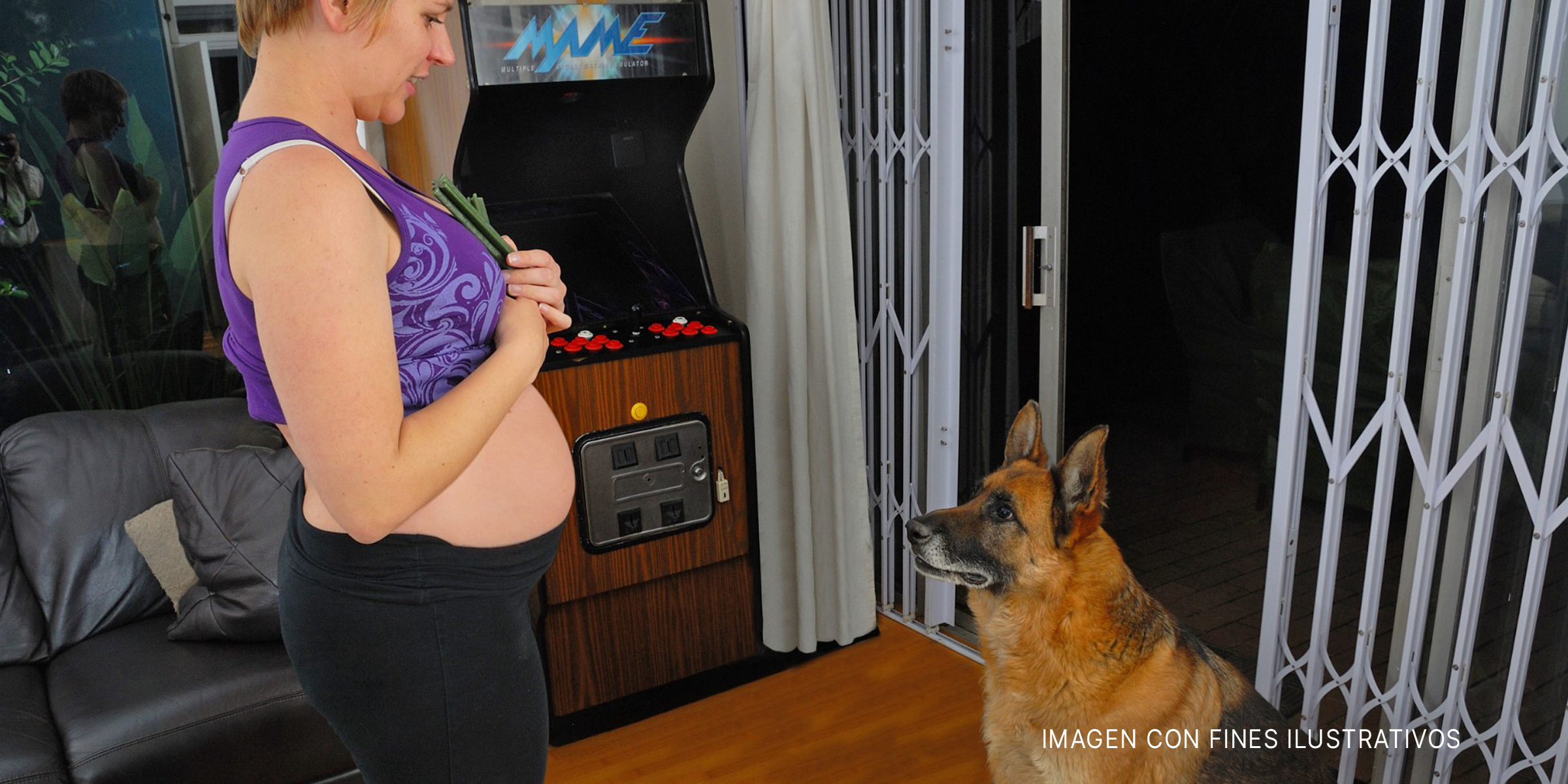 Perro de raza pastor alemán observa fijamente el vientre de una embarazada. | Foto: Flickr.com/Locutis (CC BY-SA 2.0)