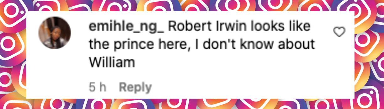 User comment about Prince William and Robert Irwin, posted on November 6, 2024 | Source: Instagram/hellomag and hellomagus