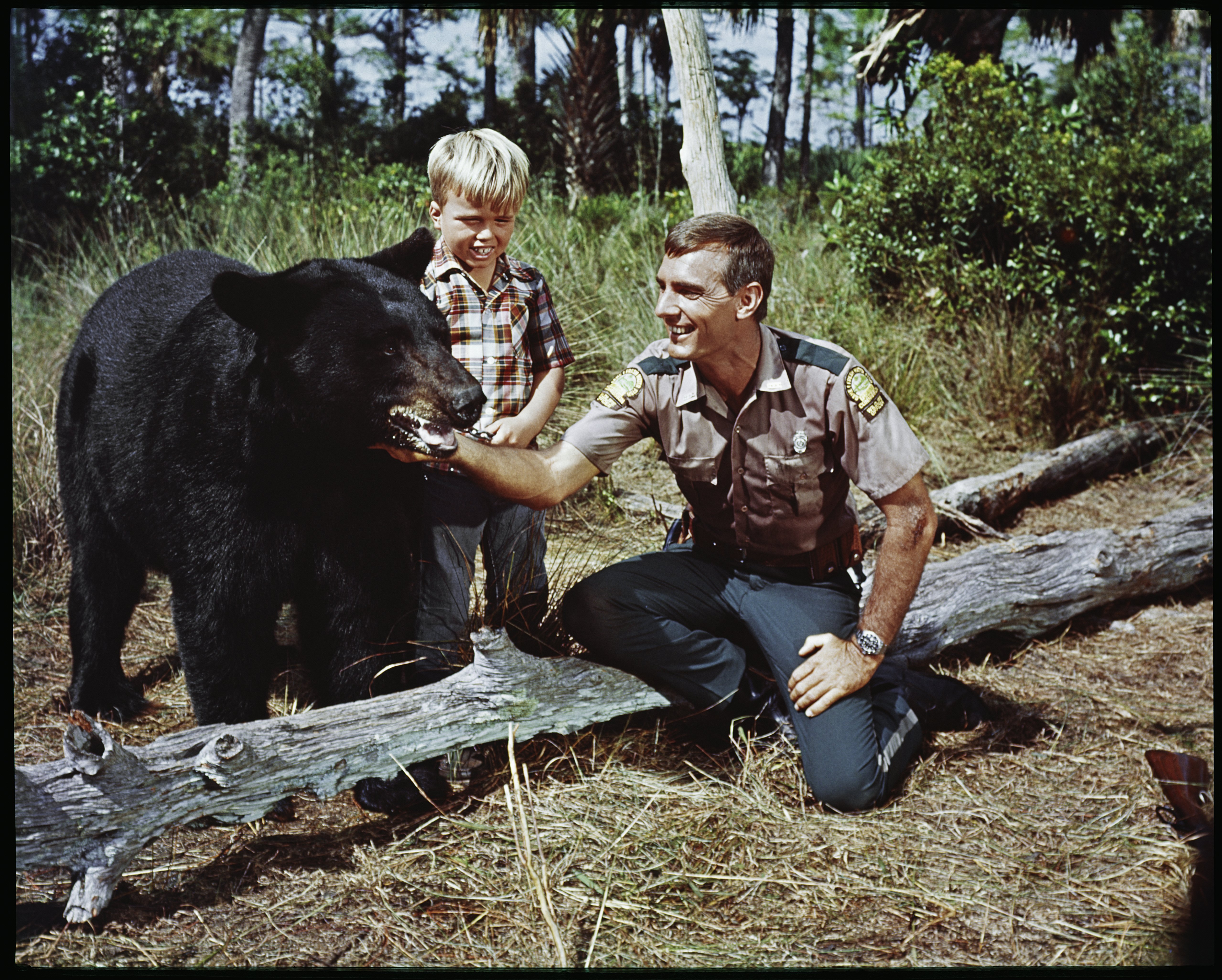 Bear Gentle Ben, child actor Clint Howard, and Dennis Weaver in a scene from the film "Gentle Giant" in 1967 | Photo: Camerique/Getty Images