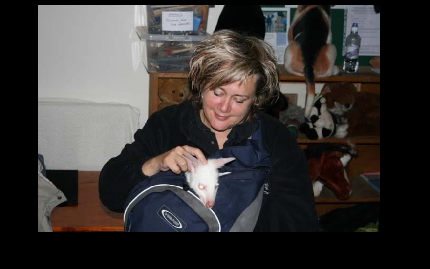 Sarah Fisher cares for a young rescued animal at her animal training center, reflecting the passion for animal welfare that defined much of her life's work. | Source: Facebook/Tellington TTouch Canada and Sarah Fisher