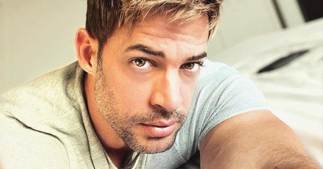Instagram.com/willevy