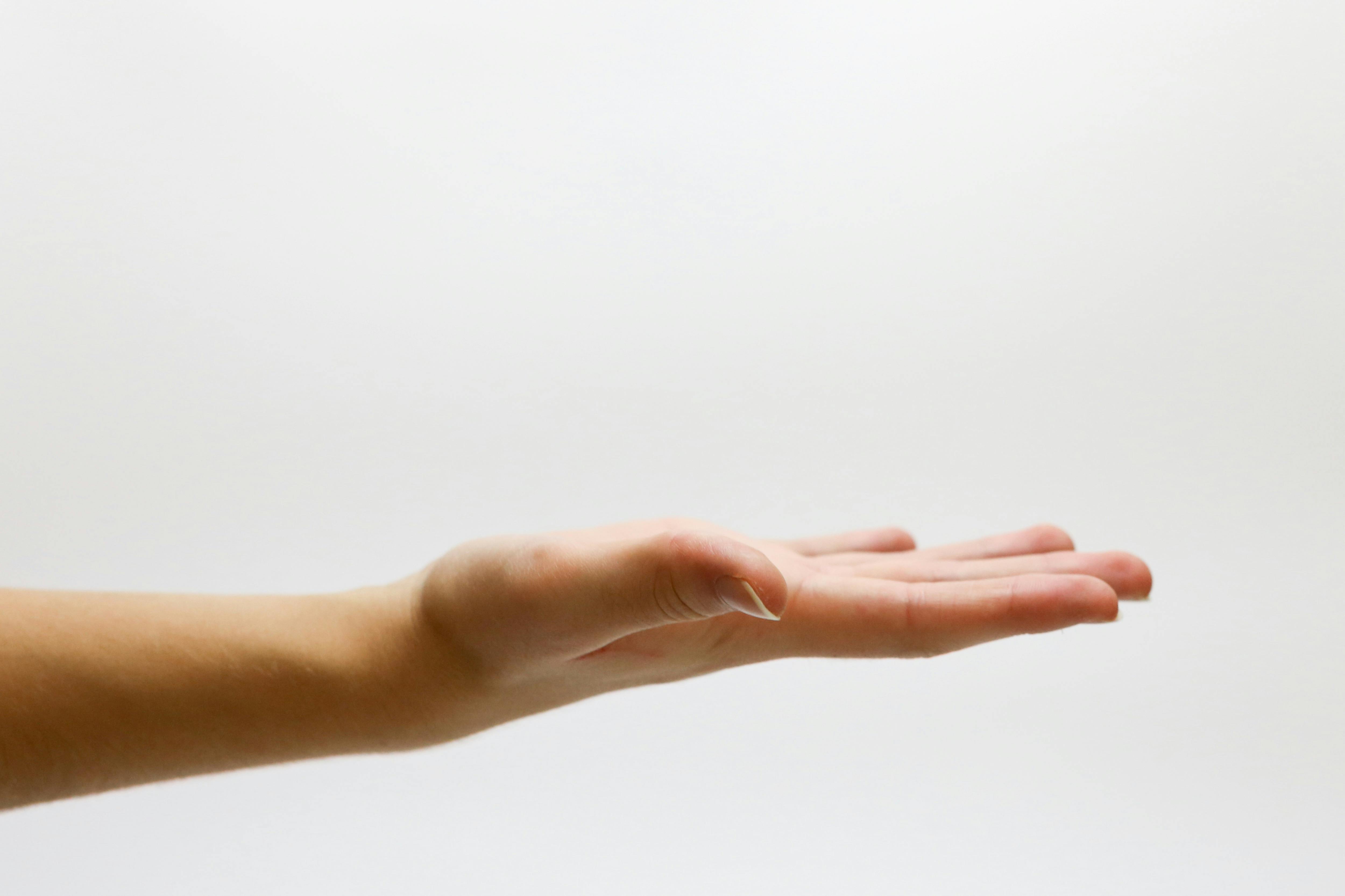 A person holding out their palm | Source: Pexels