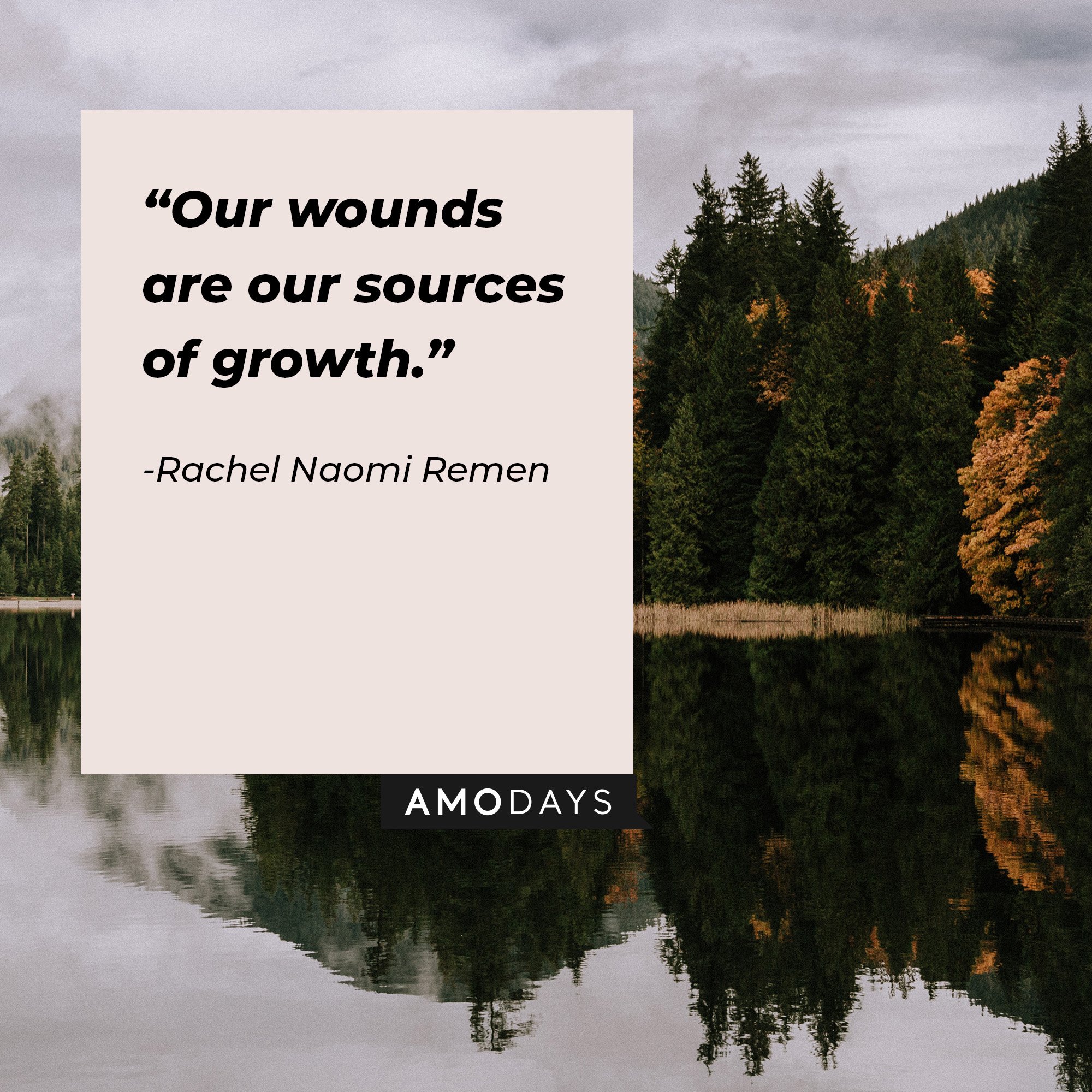 Rachel Naomi Remen’s quote: “Our wounds are our sources of growth.” | Image: AmoDays  