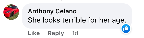 Screenshot of a comment on a New York Post article about Erika Eleniak. | Source: facebook.com/NYPost
