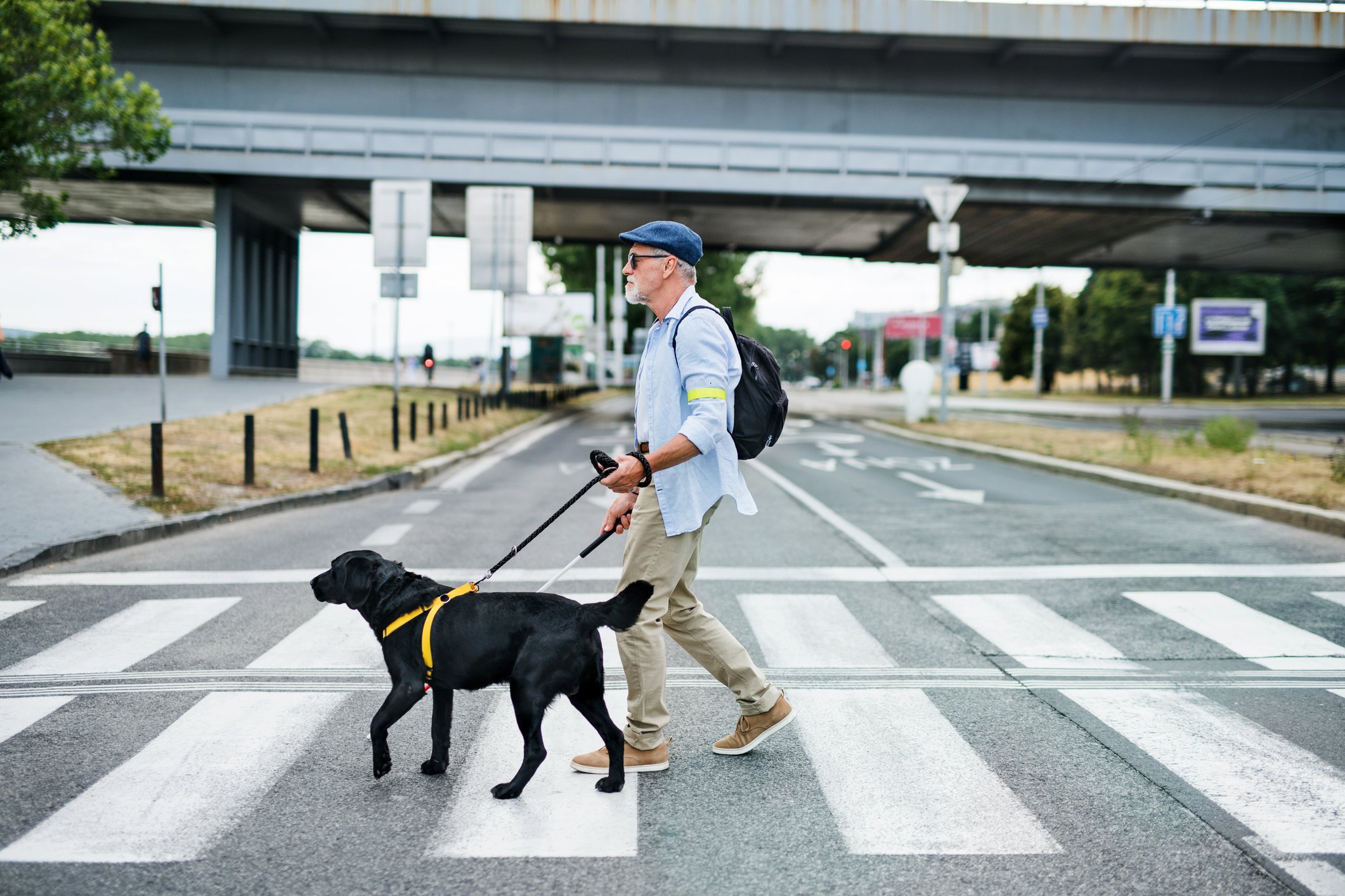 Ein blinder Senior mit Blindenhund überquert die Straße in der Stadt I Quelle: Getty Images