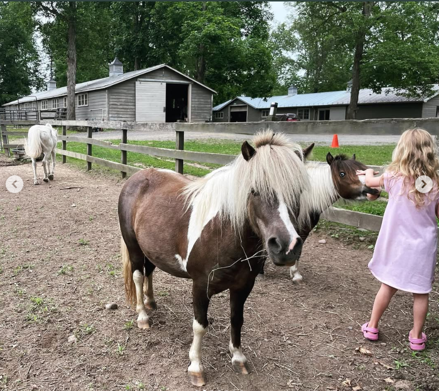 Amanda Seyfried's daughter is pictured petting a pony, dated June 23, 2023 | Source: Instagram/mengey