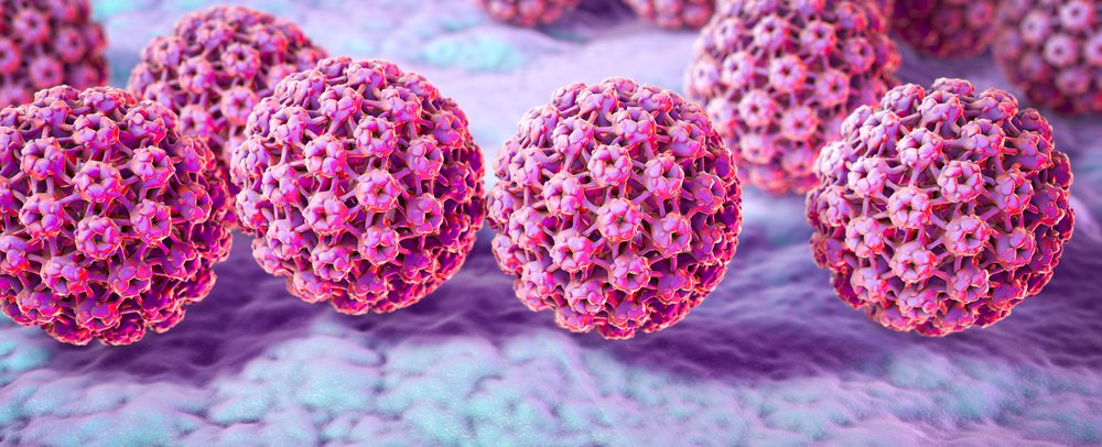 Virus Papillomes Humains (VPH), virus qui provoque des verrues situées principalement sur les mains et les pieds. Certaines souches infectent les organes génitaux et peuvent provoquer un cancer du col utérin. Illustration 3D. | Shutterstock Virus Papillomes Humains (VPH), virus qui provoque des verrues situées principalement sur les mains et les pieds. Certaines souches infectent les organes génitaux et peuvent provoquer un cancer du col utérin. Illustration 3D. | Shutterstock