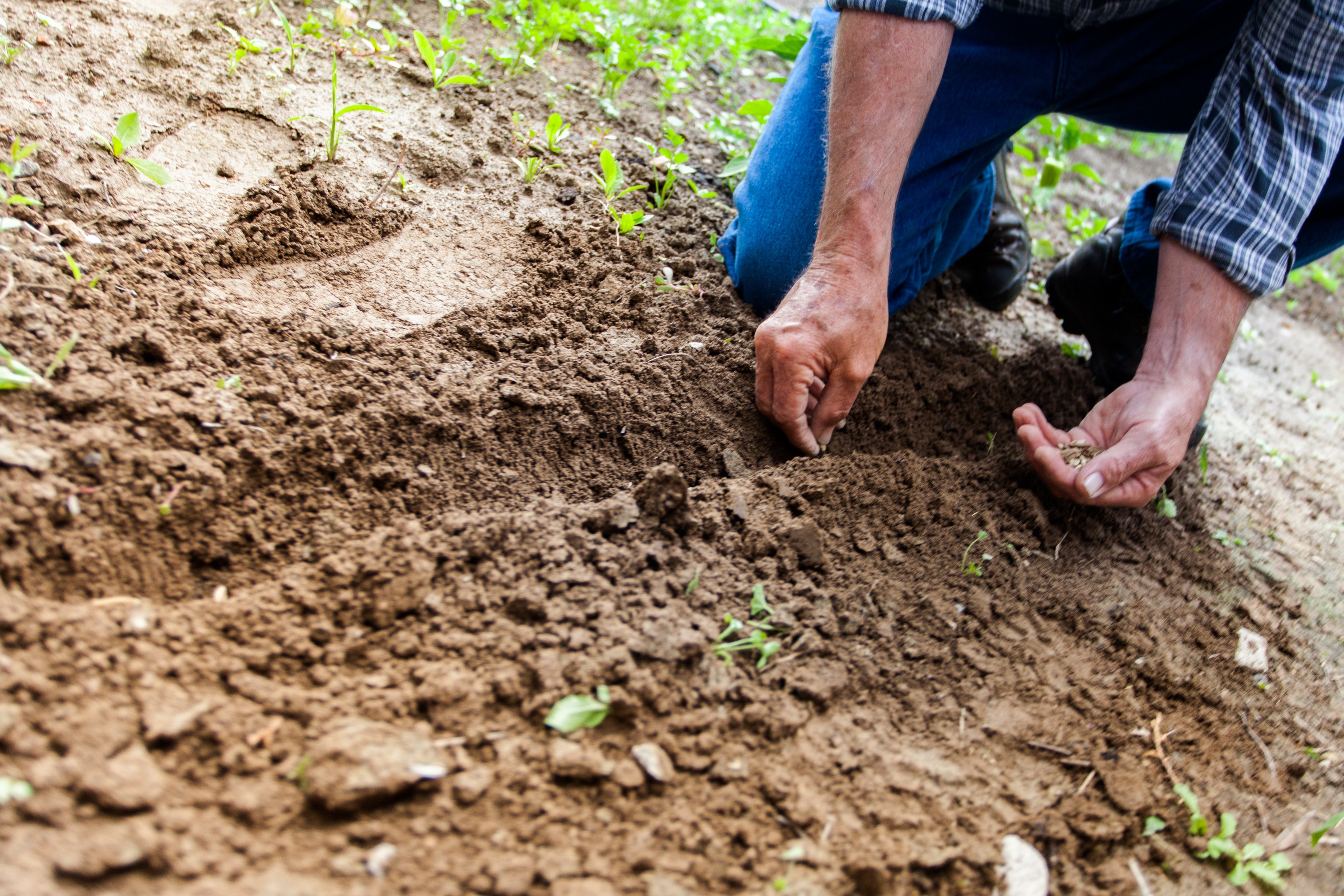 Photo of a man digging | Photo: Pexels