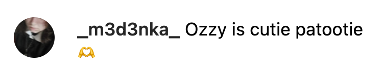 A comment on Ozzy Osbourne’s post from April 9, 2023. | Source: instagram.com/ozzyosbourne/