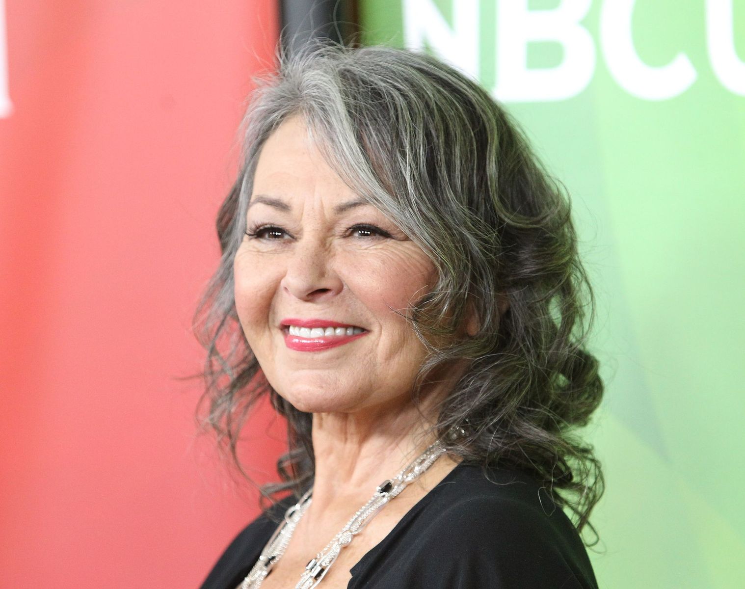 Roseanne Barr at the NBCUniversal's Summer Press Day on April 8, 2014, in Pasadena, California. | Source: Getty Images
