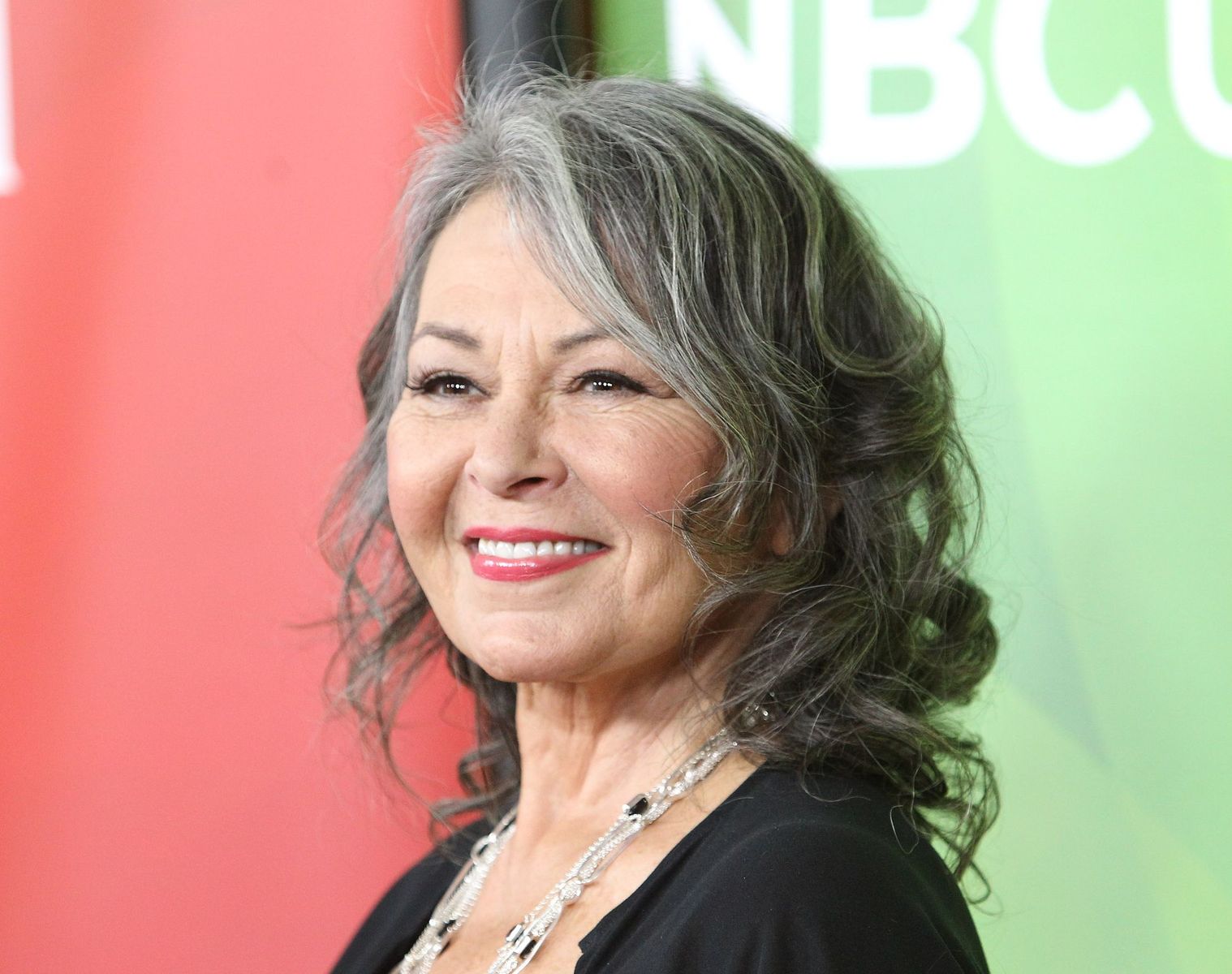 Roseanne Barr Is a Doting Mom Grandma — Meet Her 5 LookAlike Kids 6