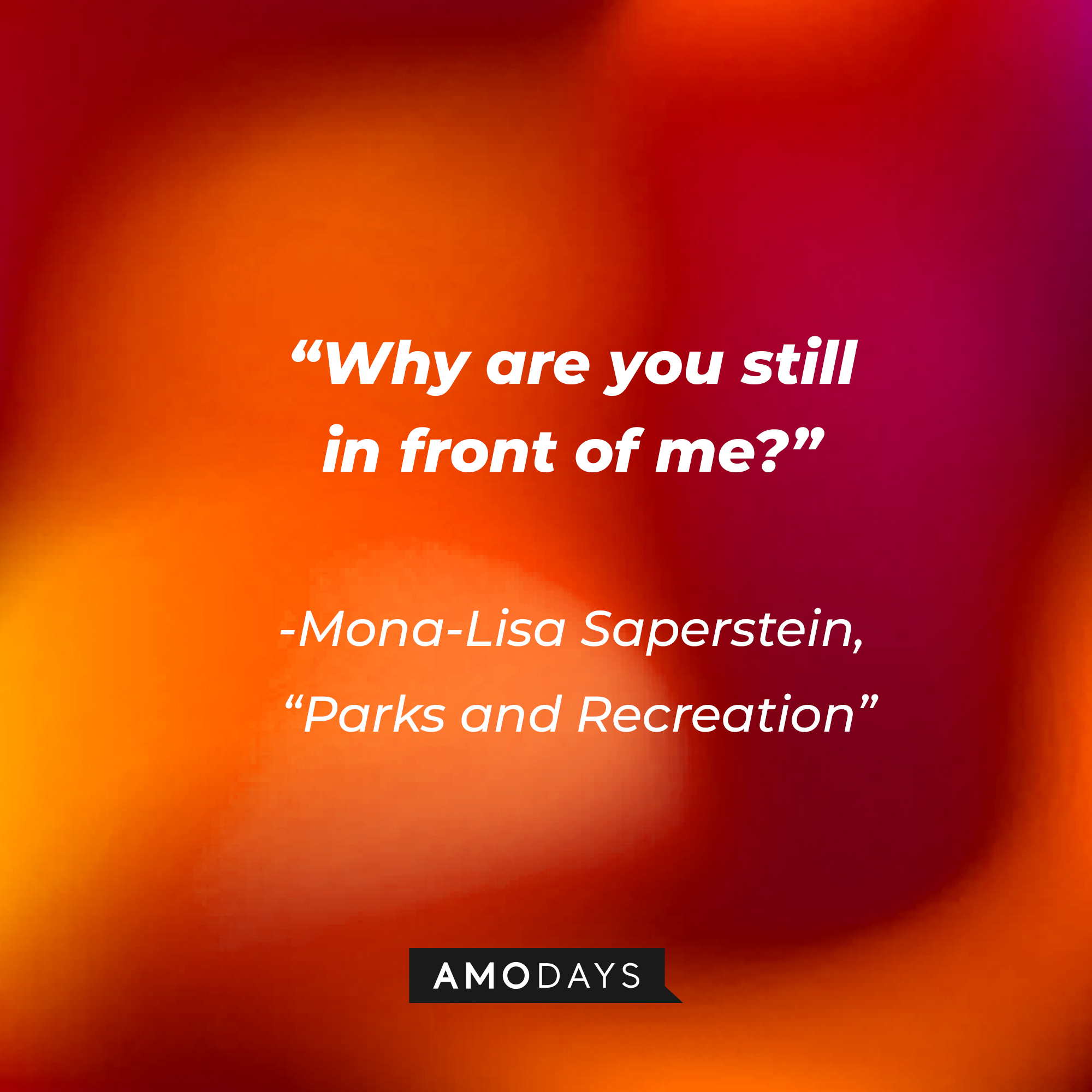 Mona-Lisa Saperstein's quote on "Parks and Recreation:" “Why are you still in front of me?" | Source: AmoDays