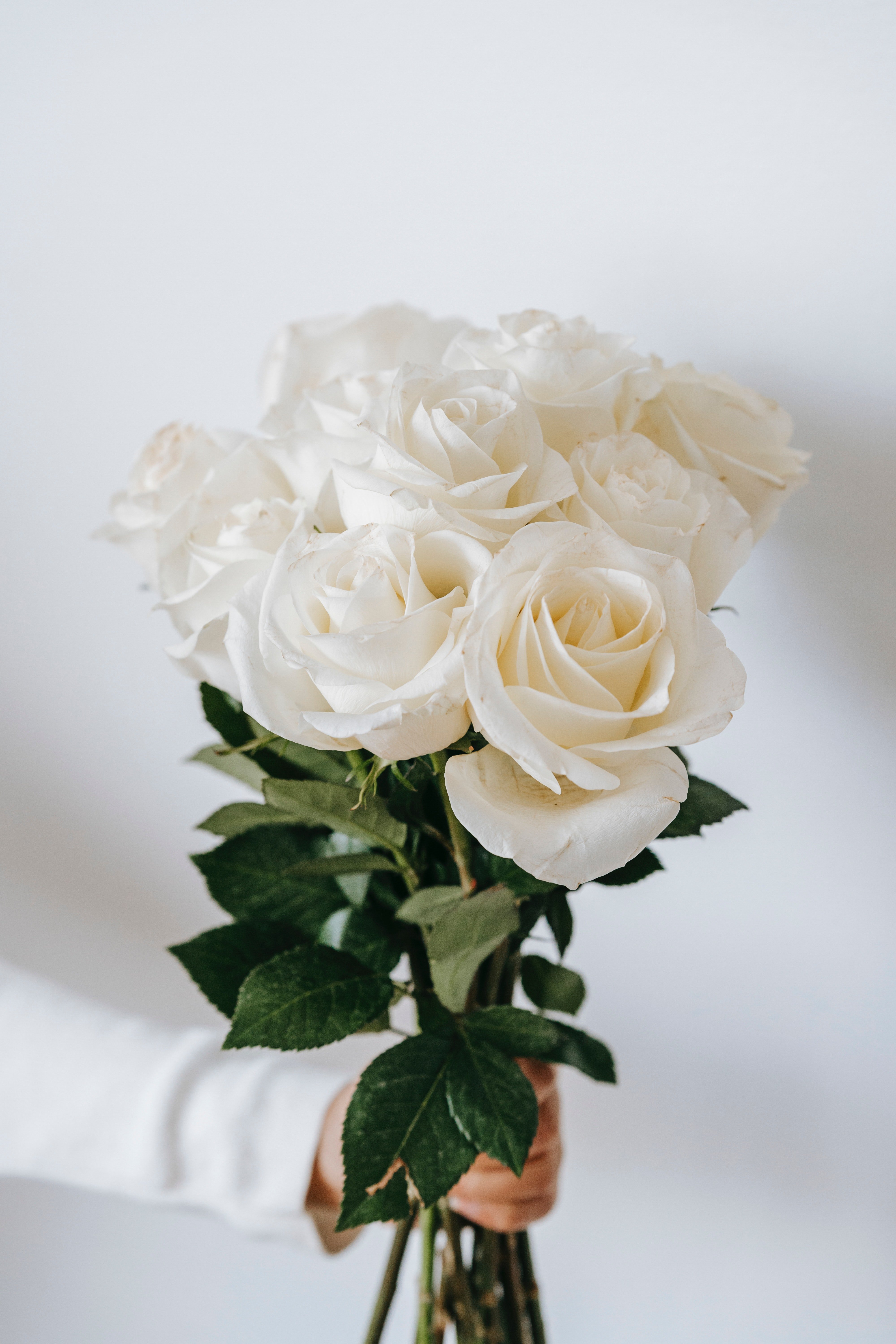 Steve would give Sherry handpicked flowers in exchange for the food she'd give him. | Source: Pexels