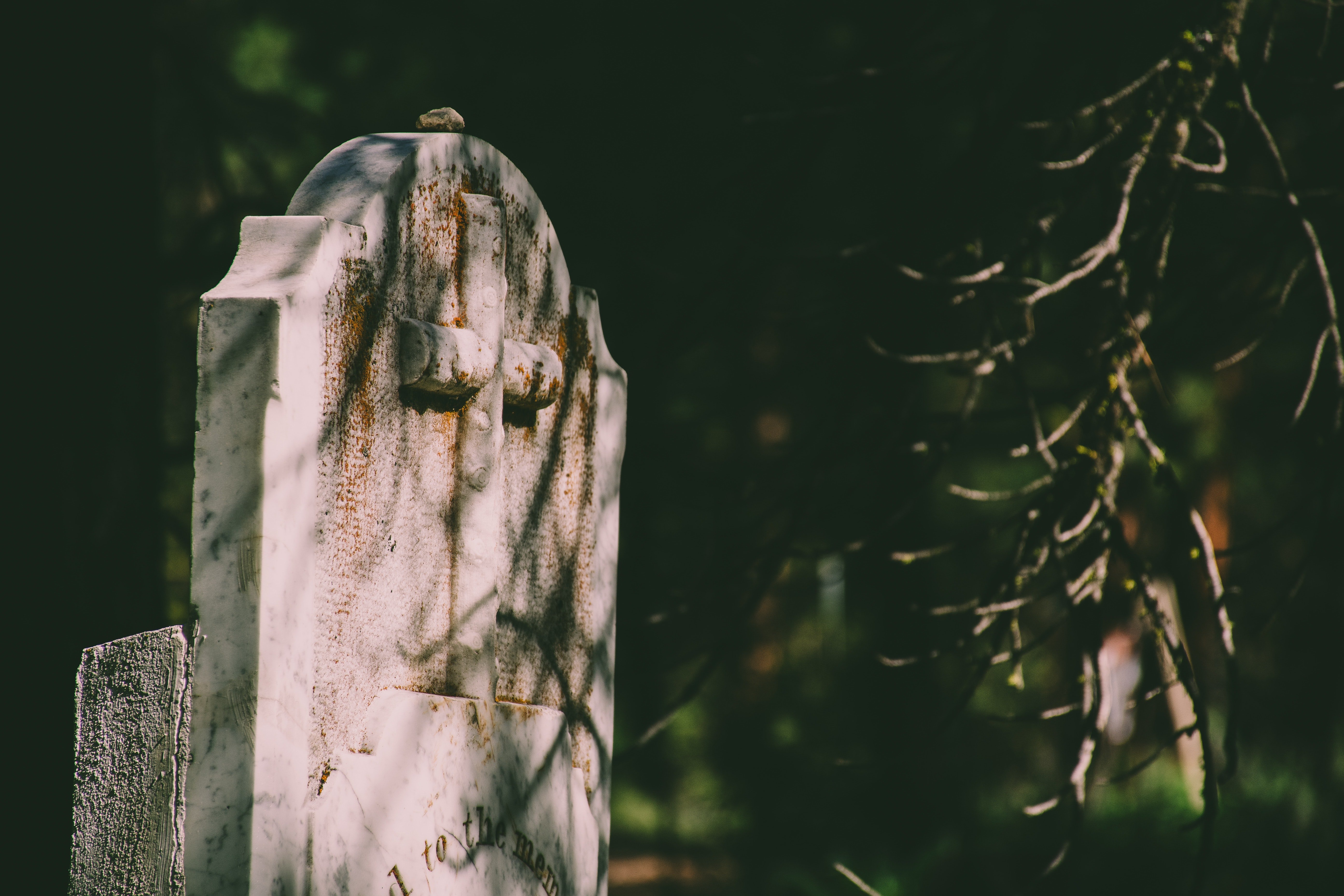 He decided he never wanted to visit his father's grave. | Source: Pexels