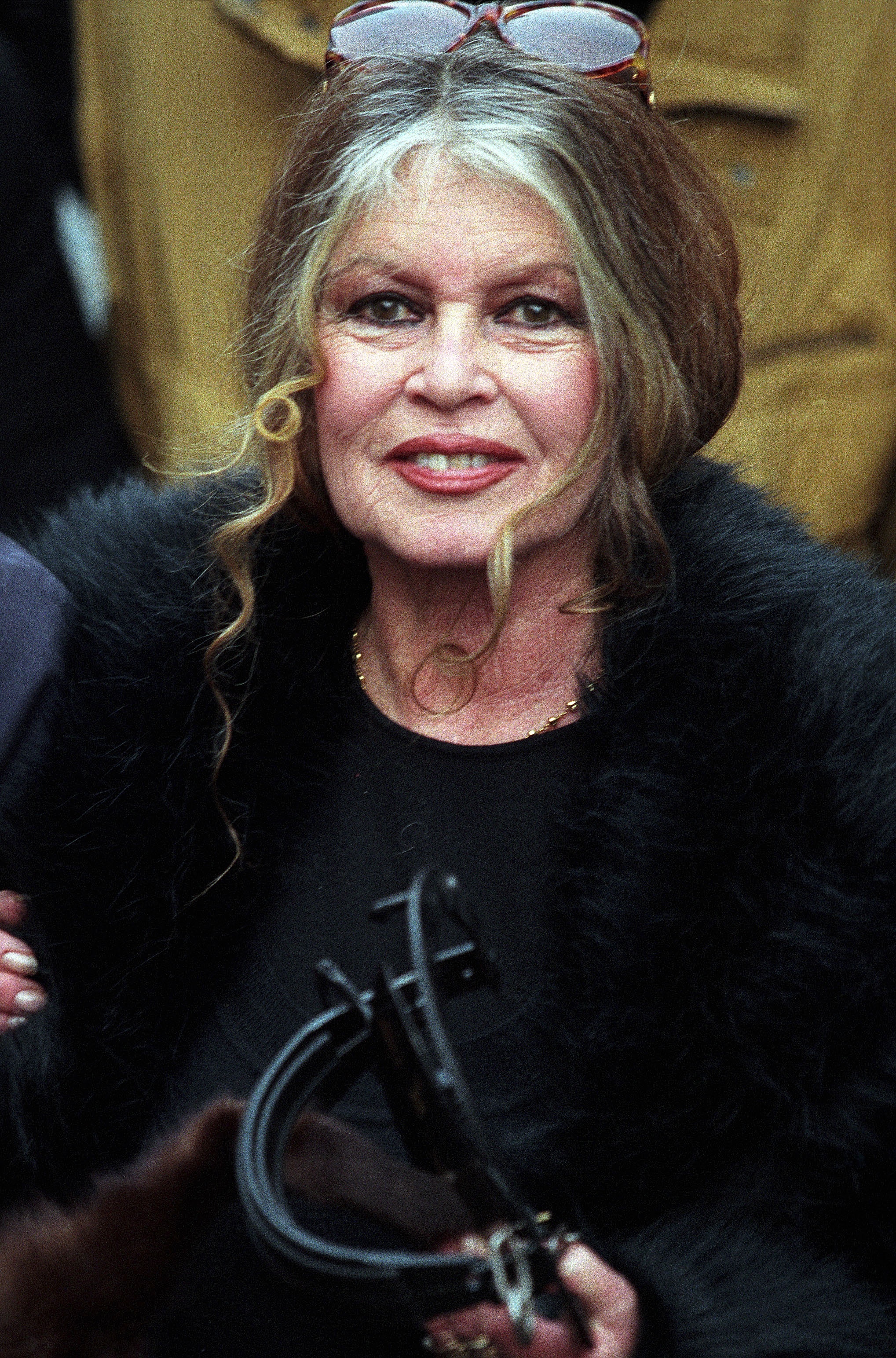 Brigitte Bardot at a demo against Fur on December 20, 1997, in Paris, France | Source: Getty Images