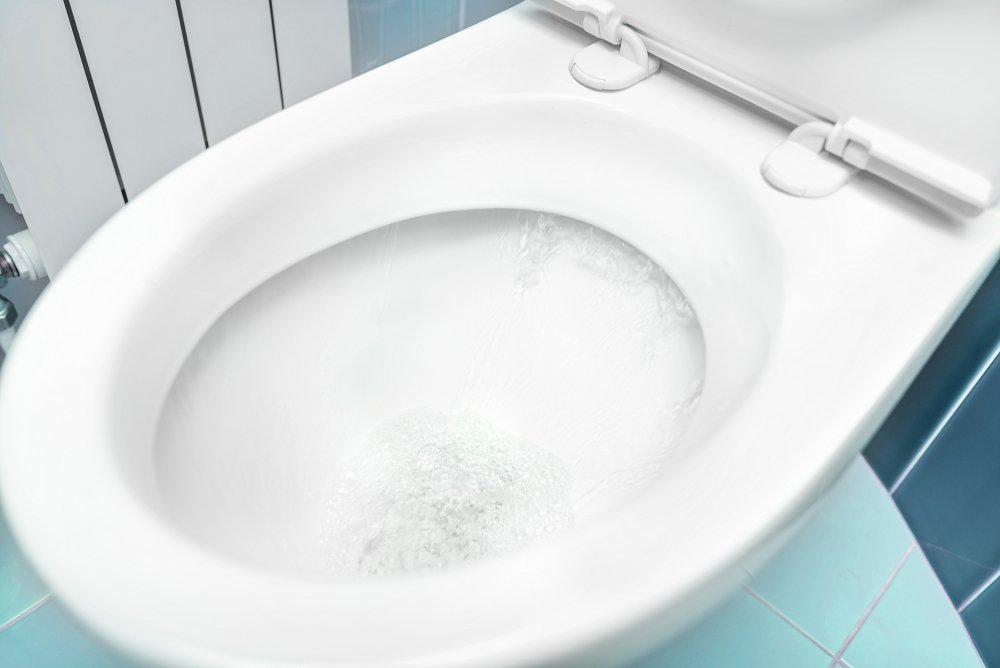 El inodoro es el elemento más usado del hogar-Imagen tomada Shutterstock