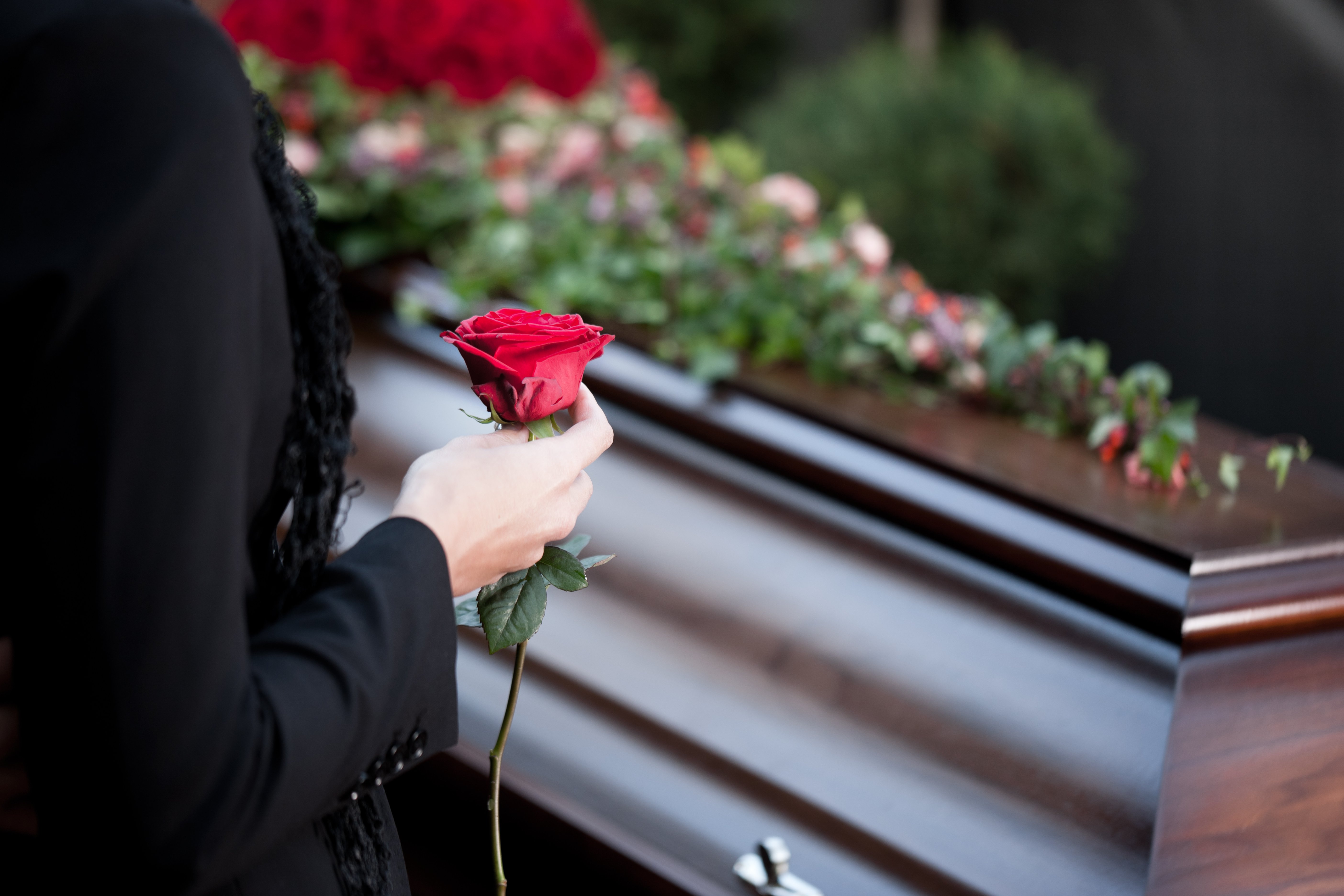 Individual holding a red rose in front of a coffin. | Source: Shutterstock