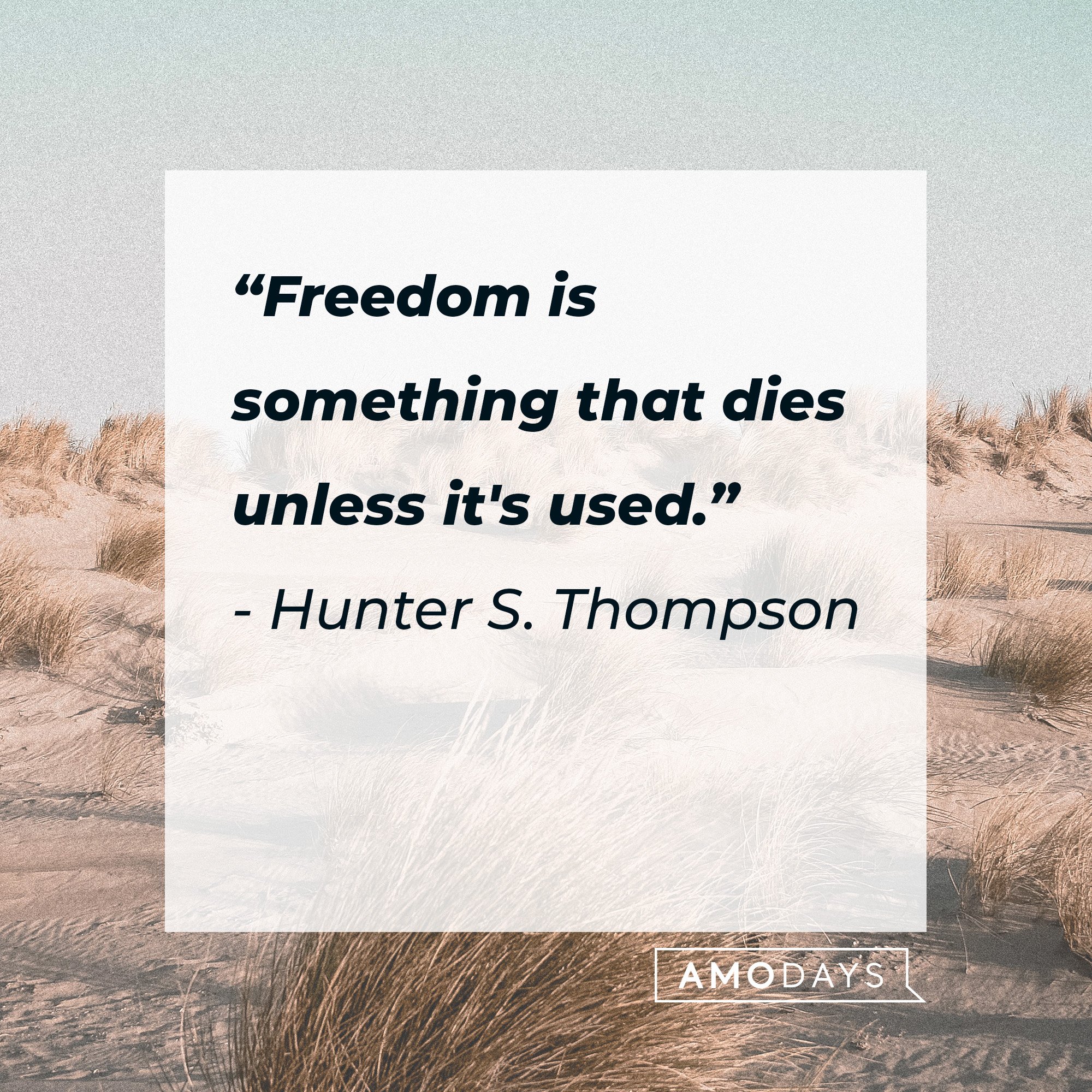 Hunter S. Thompson’s quote: “Freedom is something that dies unless it's used.” | Image: AmoDays