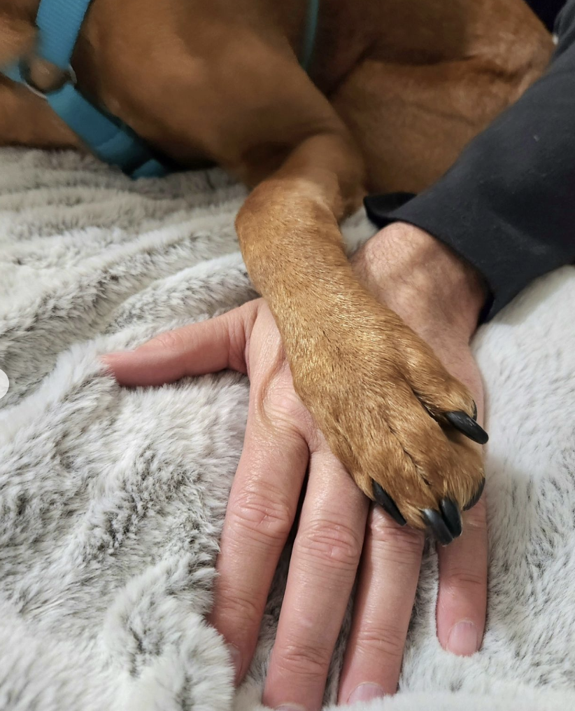 Meri Brown's boyfriend, Amos' hand with her dog's paw as seen on an Instagram carousel dated January 2024 | Source: Instagram.com/therealmeribrown/