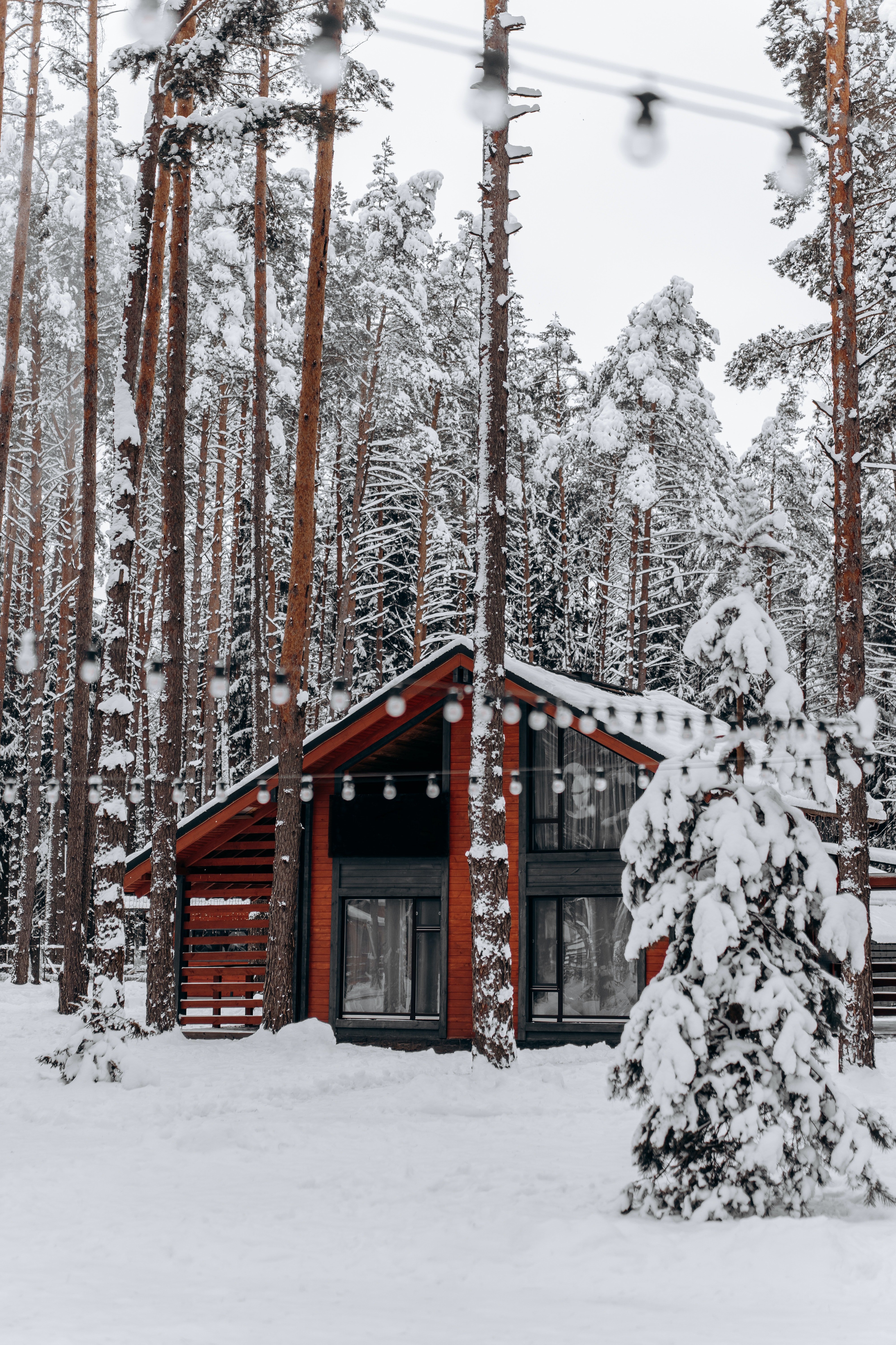 Casa en el bosque lleno de nieve. | Foto: Pexels