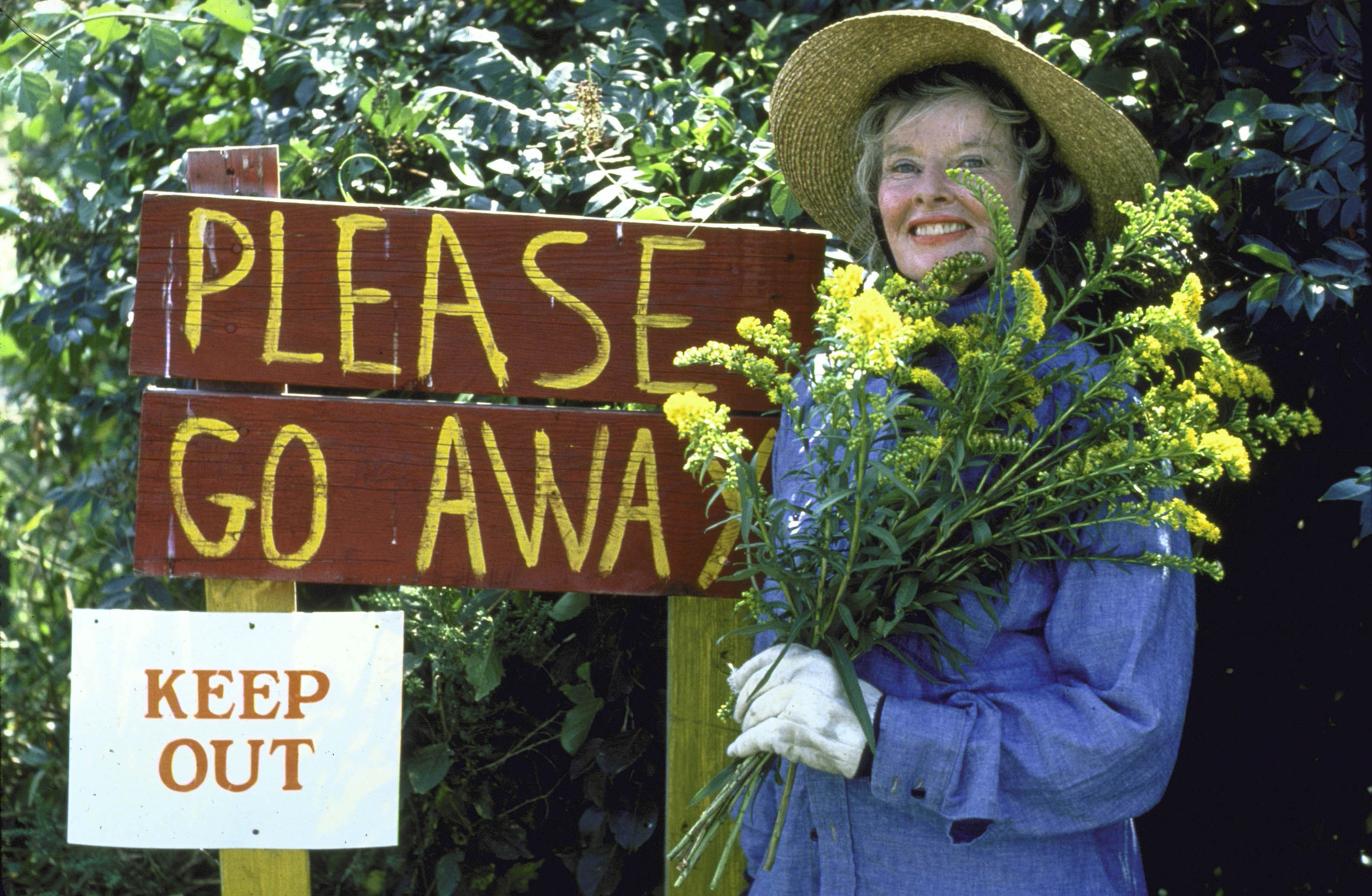 Katharine Hepburn in 1981 | Source: Getty Images