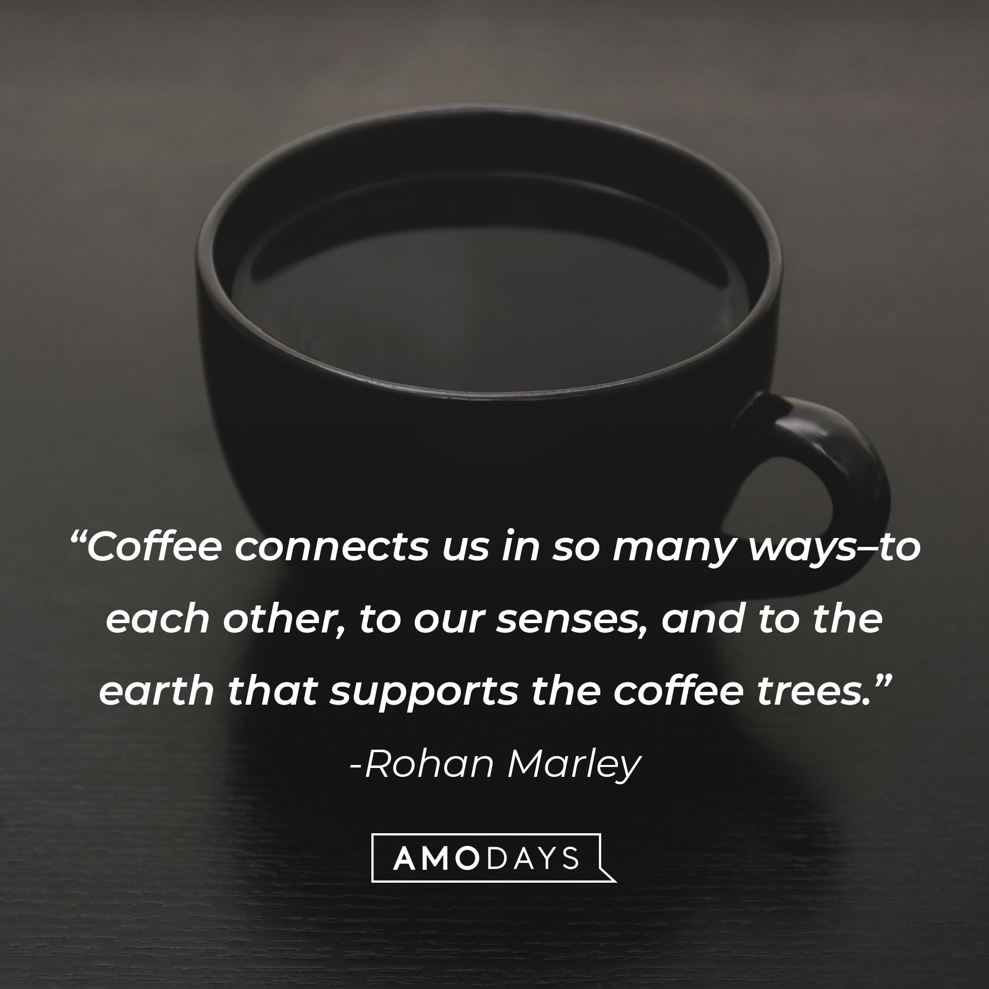 Rohan Marley's quote: "Coffee connects us in so many ways–to each other, to our senses, and to the earth that supports the coffee trees." | Image: AmoDays