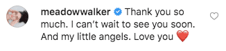 Meadow Walker's comment on Vin Diesel's post. | Photo: instagram.com/vindiesel