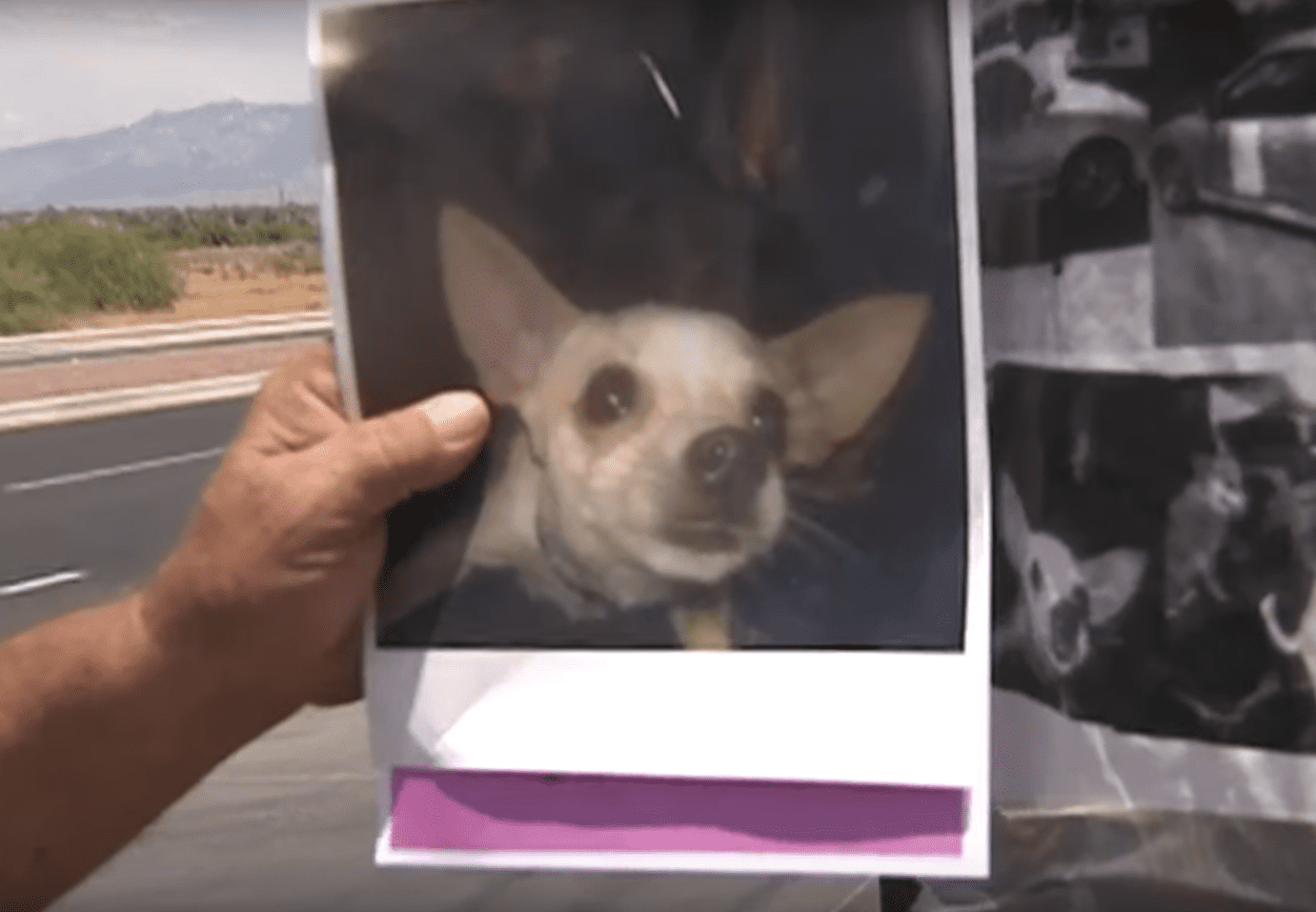 Eddie Collins de Tucson sosteniendo una fotografía de su perrita Jenny. | Imagen: YouTube/News 4 Tucson KVOA-TV