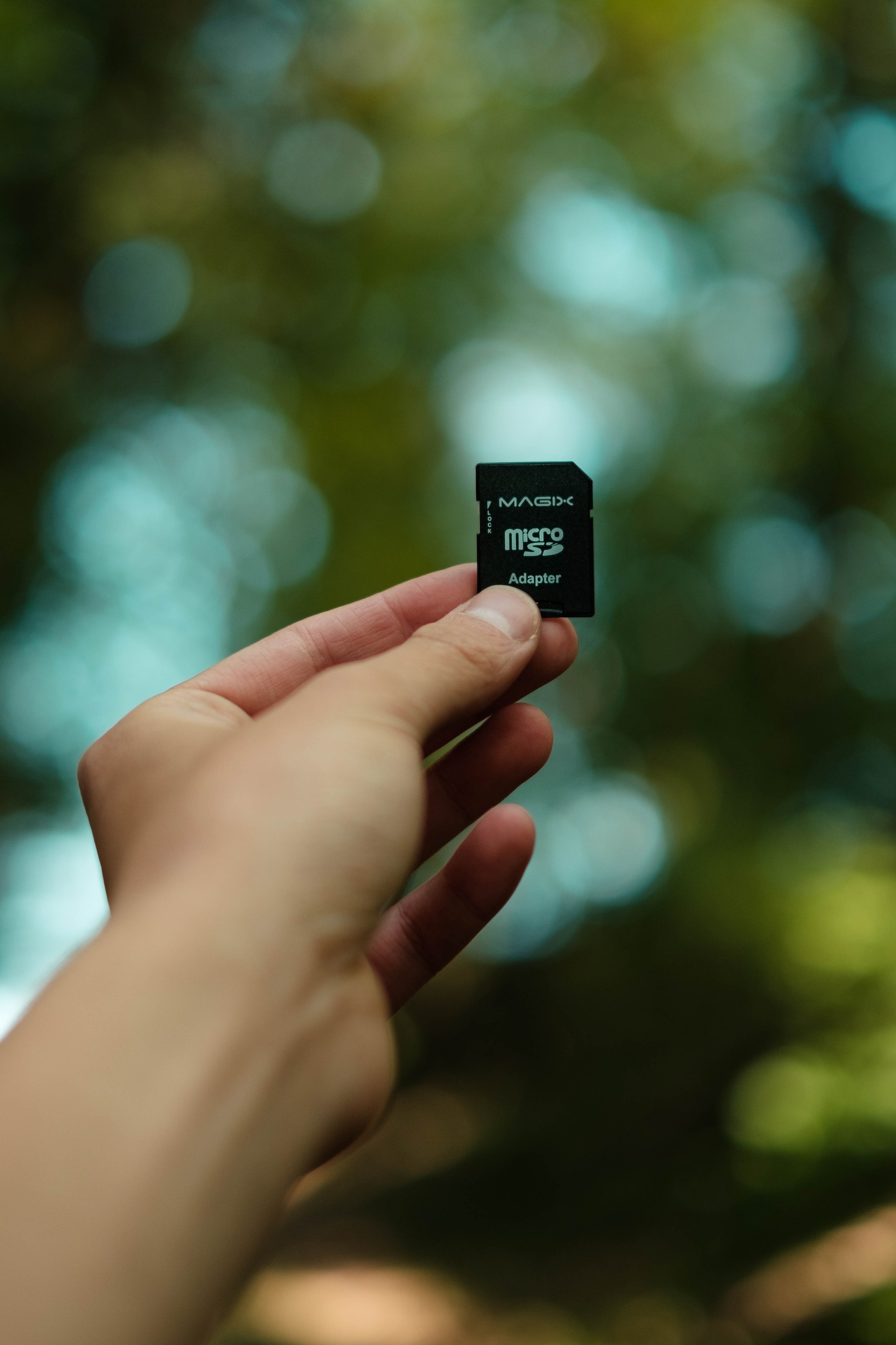 A person holding an SD card | Source: Pexels