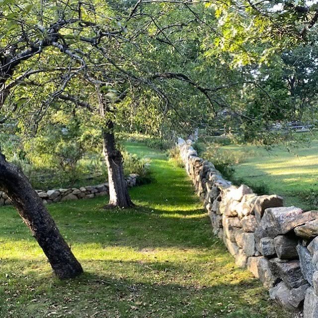 The property on Martha's Vineyard has been her sanctuary for decades. This is a picture of her garden posted on October 4, 2021. | Source: Facebook/Carly Simon