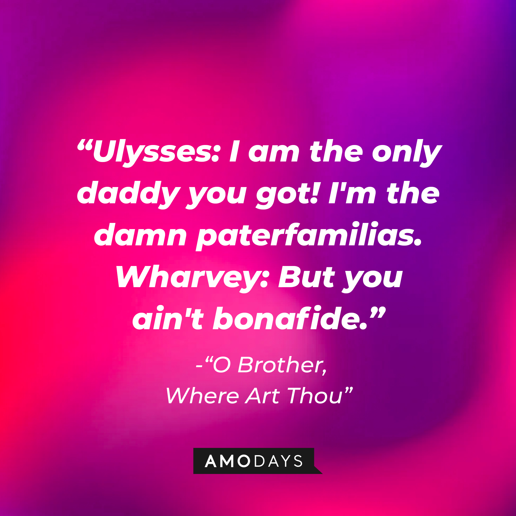 Ulysses Everett McGill's dialogue in "O Brother, Where Art Thou:" "Ulysses: I am the only daddy you got! I'm the damn paterfamilias. ; Wharvey: But you ain't bonafide." | Source: AmoDays