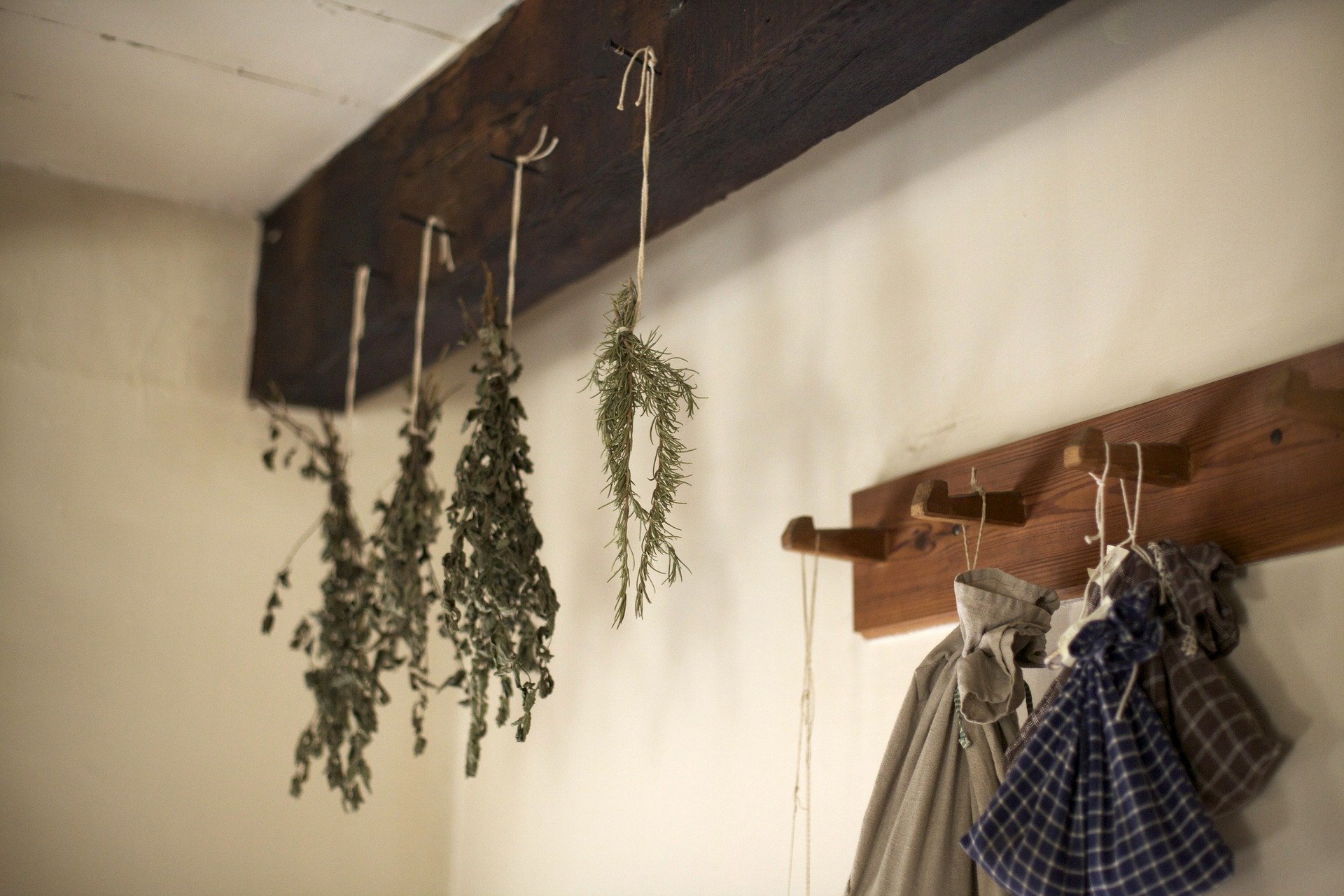 Herbs hanging upside down while drying in a kitchen | Photo: Pixabay/Free-Photos