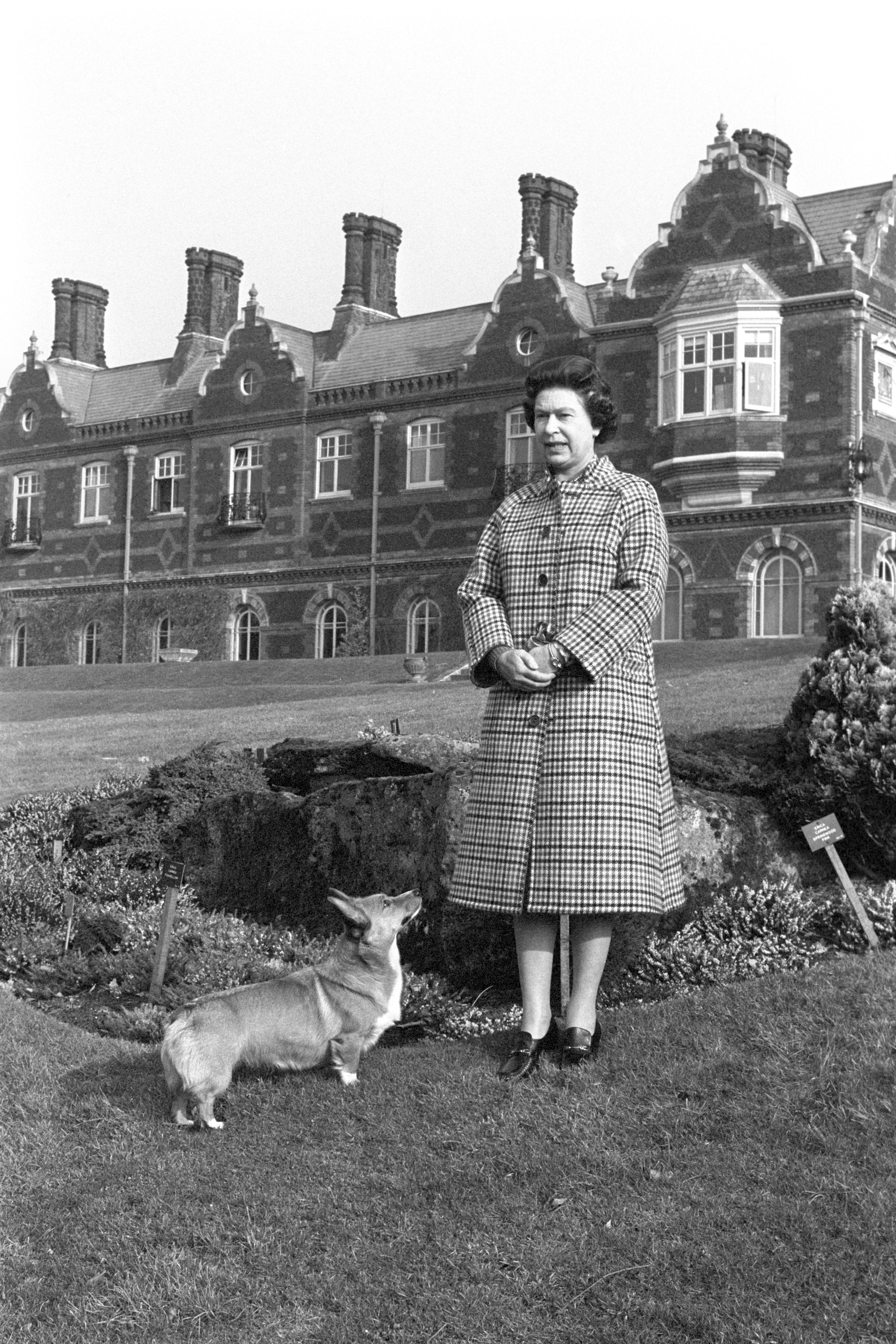 Queen Elizabeth II with a corgi in the grounds of Sandringham House, Norfolk, to mark the 30th anniversary of her accension to the throne on 6 February 1982. | Source: Getty