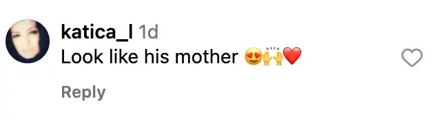 Fan comment on Pierce Brosnan’s Instagram post | Source: Instagram/piercebrosnanofficial