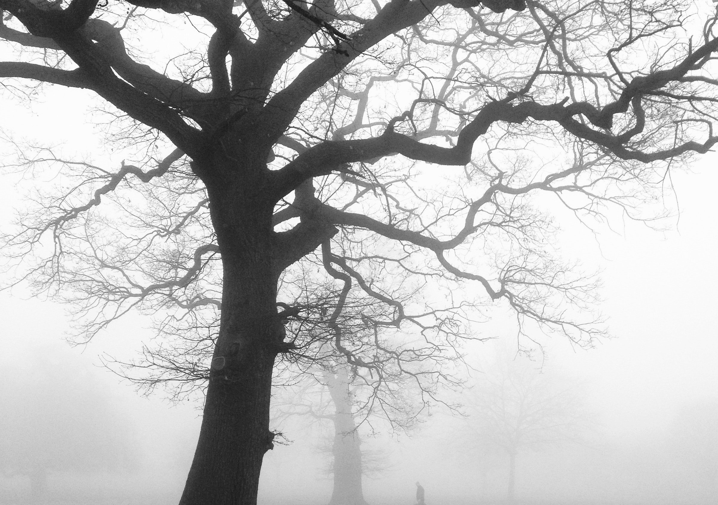 Before Justin could see her clearly, the old woman disappeared into the mist. | Source: Pexels