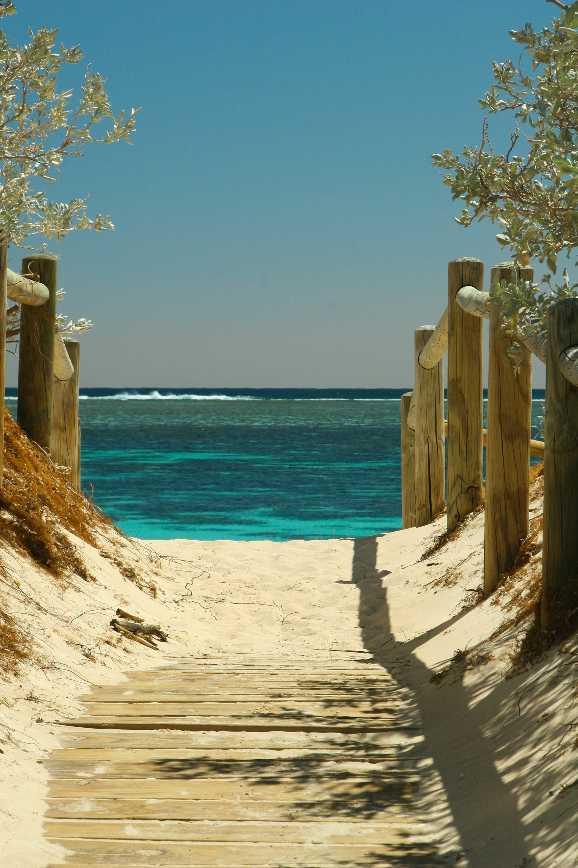 A pathway to the beach | Source: Unsplash