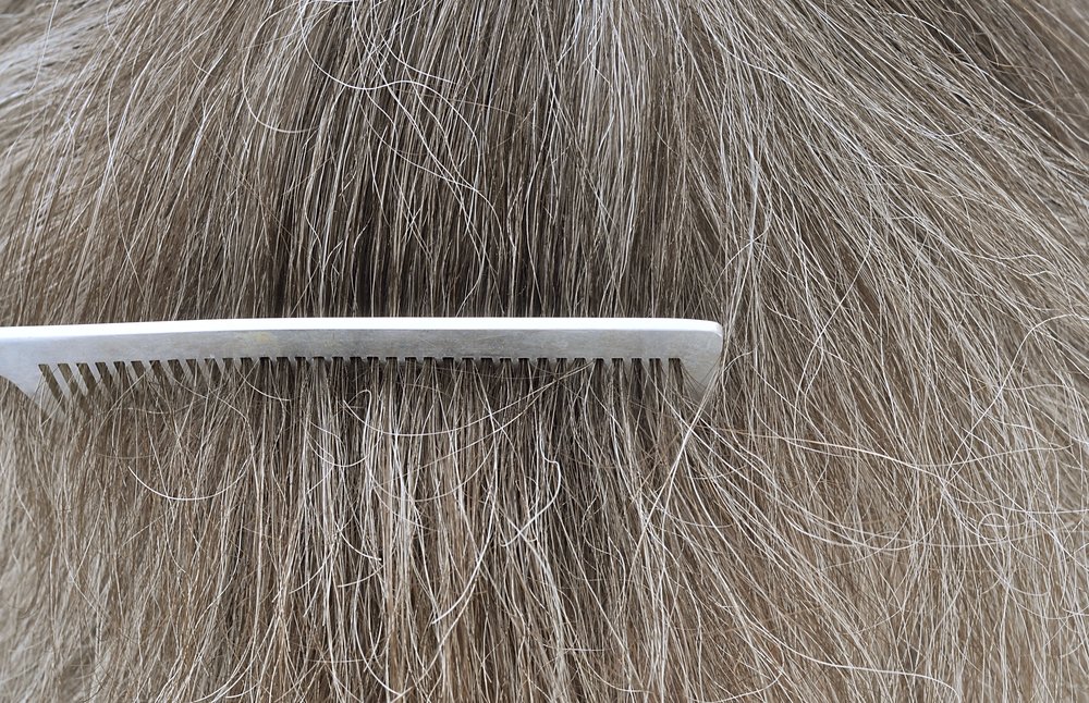 Pelo gris con peine. | Foto: Shutterstock