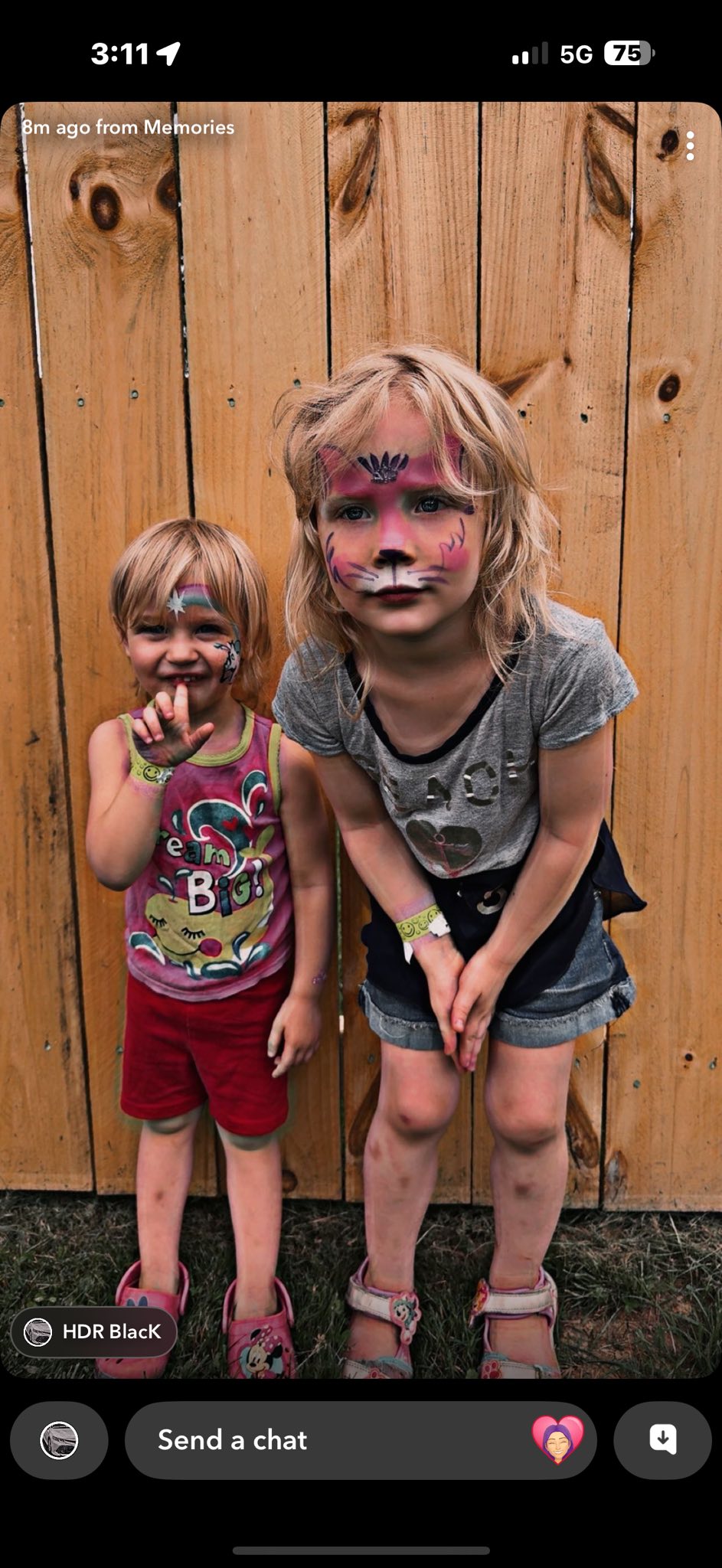 The victim and her older sister in colorful facepaint, posing before a wooden fence, from a post dated June 26, 2025. | Source: facebook.com/tien.hawkins