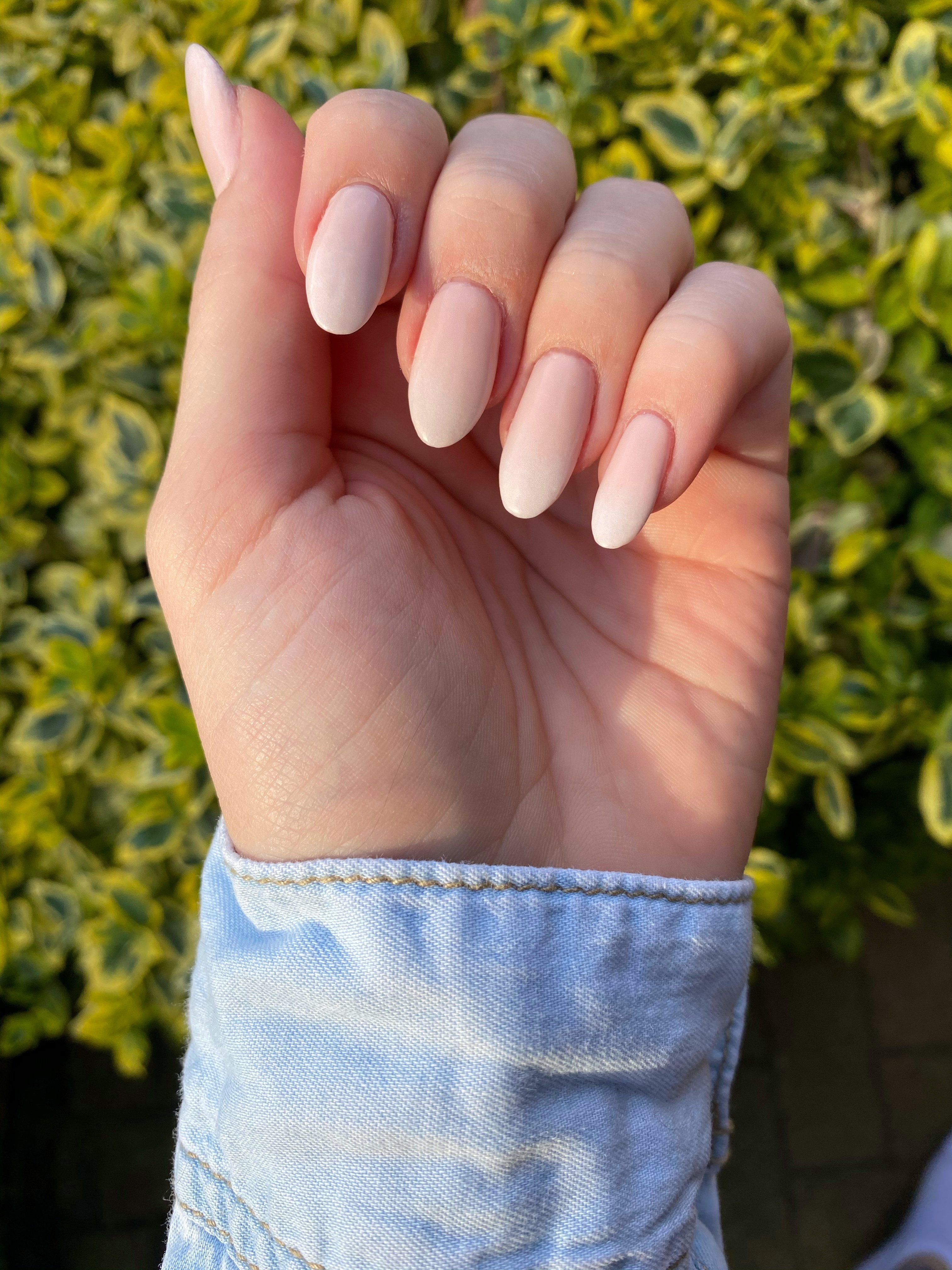 French fade manicure. | Source: Shutterstock